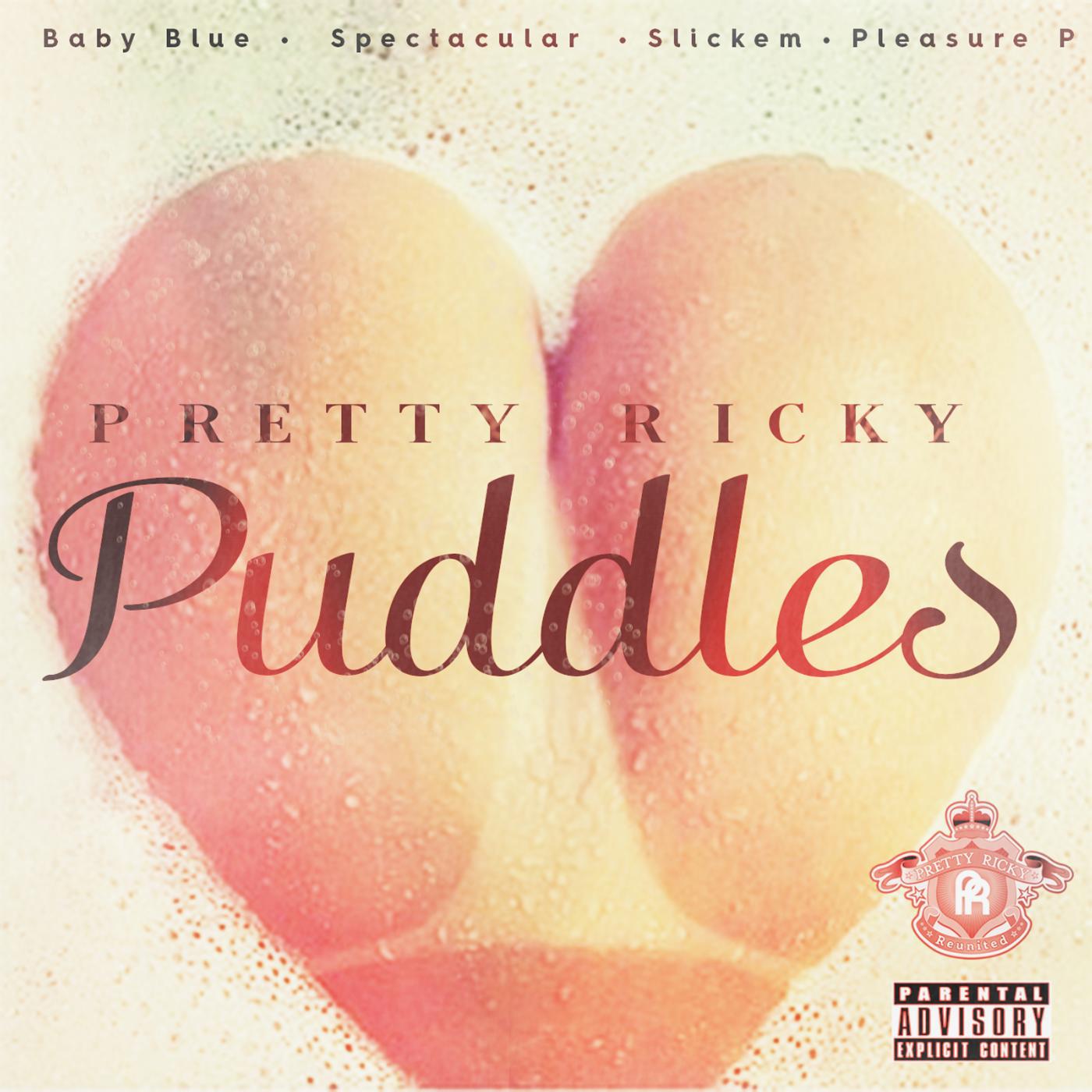 Постер альбома Puddles (feat. Baby Blue, Spectacular, Slickem & Pleasure P)
