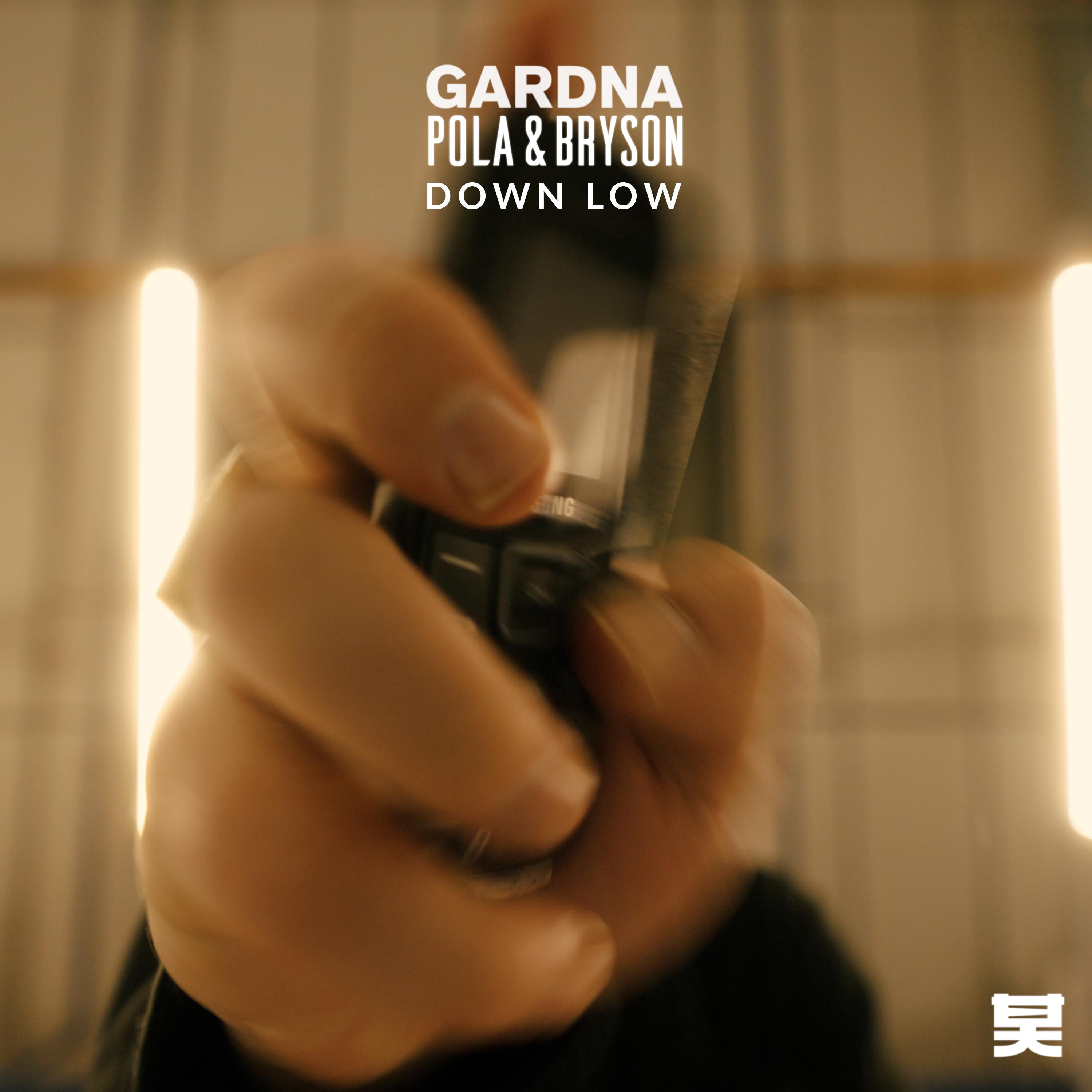 Постер альбома Down Low
