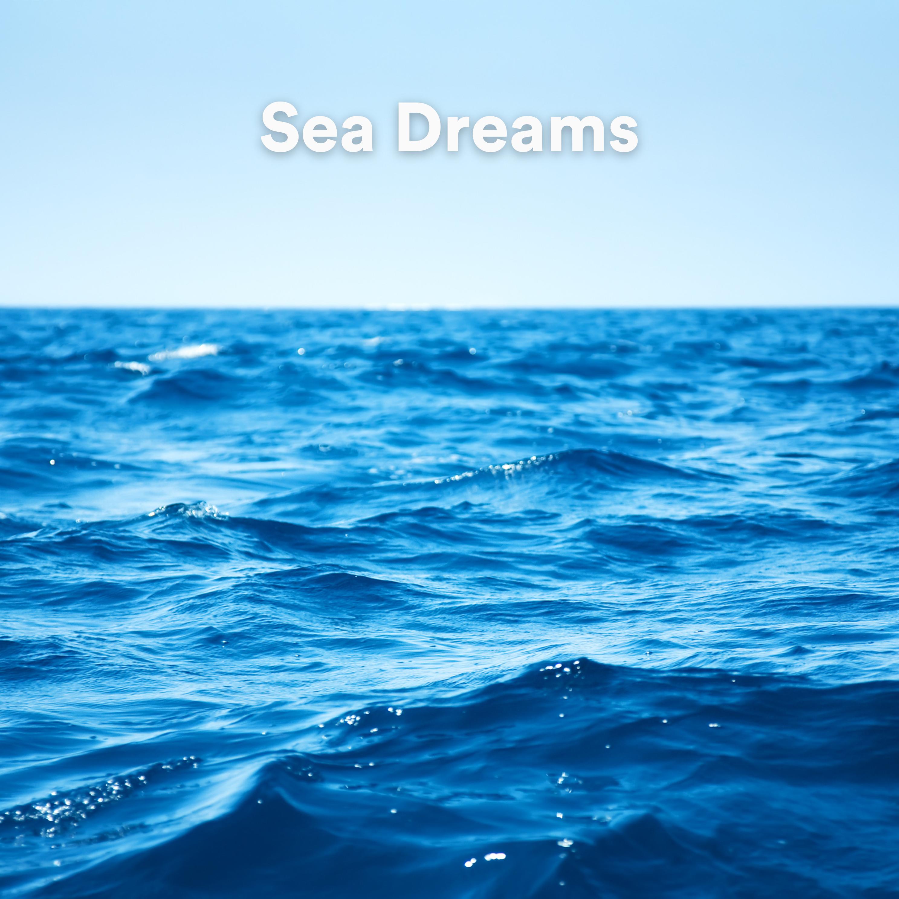 Постер альбома Sea Dreams