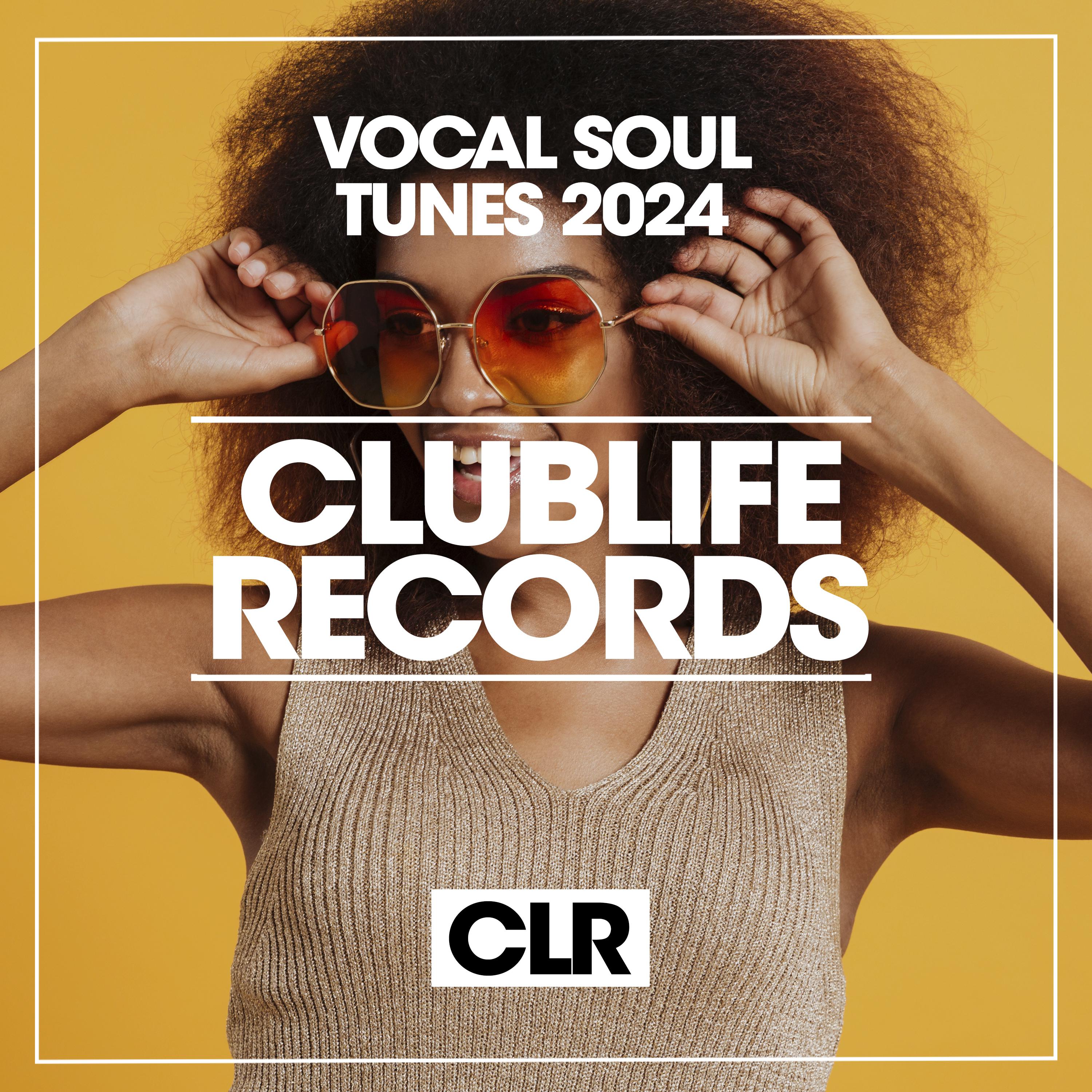 Постер альбома Vocal Soul Tunes 2024