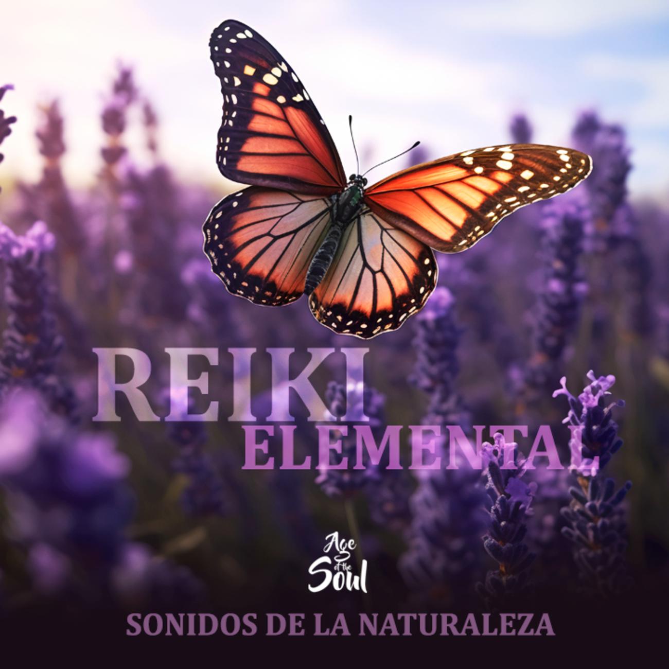 Постер альбома Reiki Elemental: Sonidos de la Naturaleza
