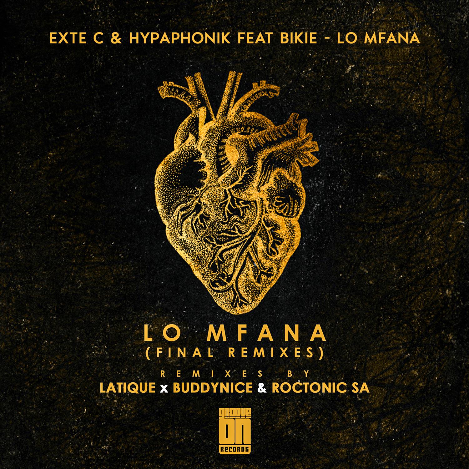 Постер альбома Lo Mfana (Final Remixes)