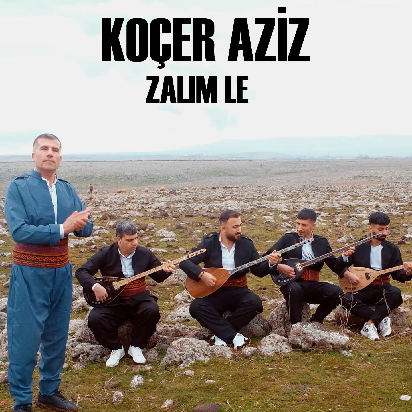 Постер альбома Zalım Le