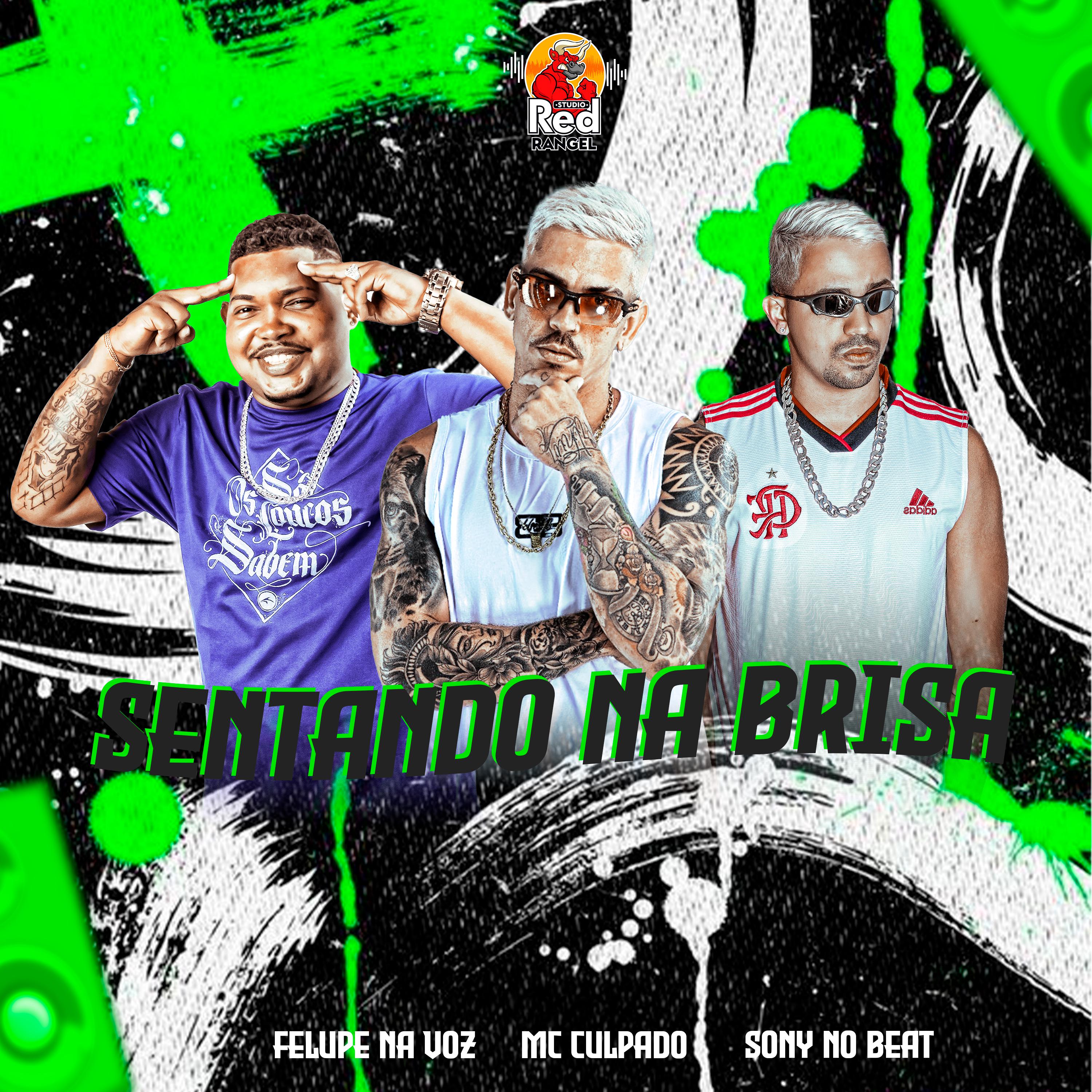 Постер альбома Sentando na Brisa