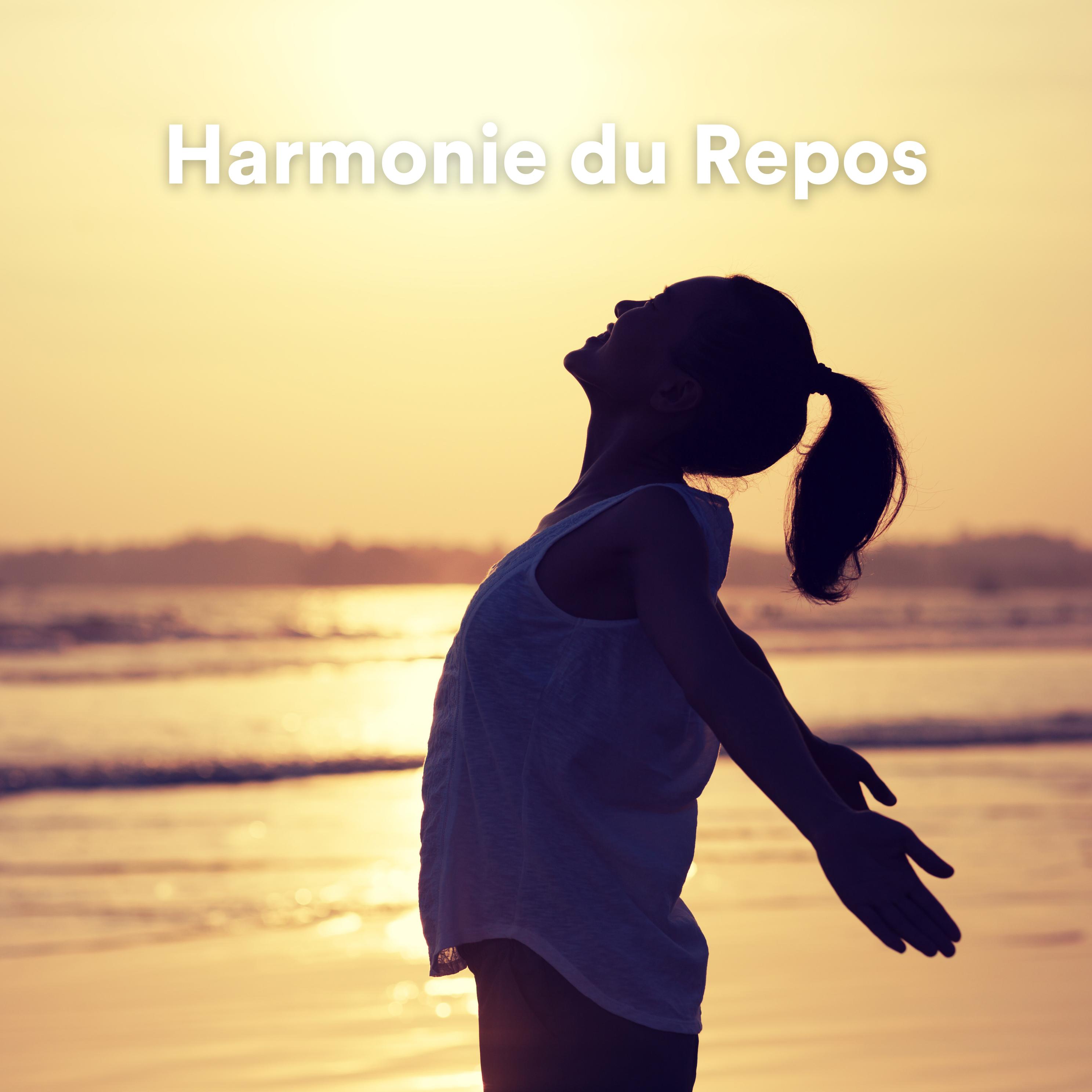 Постер альбома Harmonie du Repos