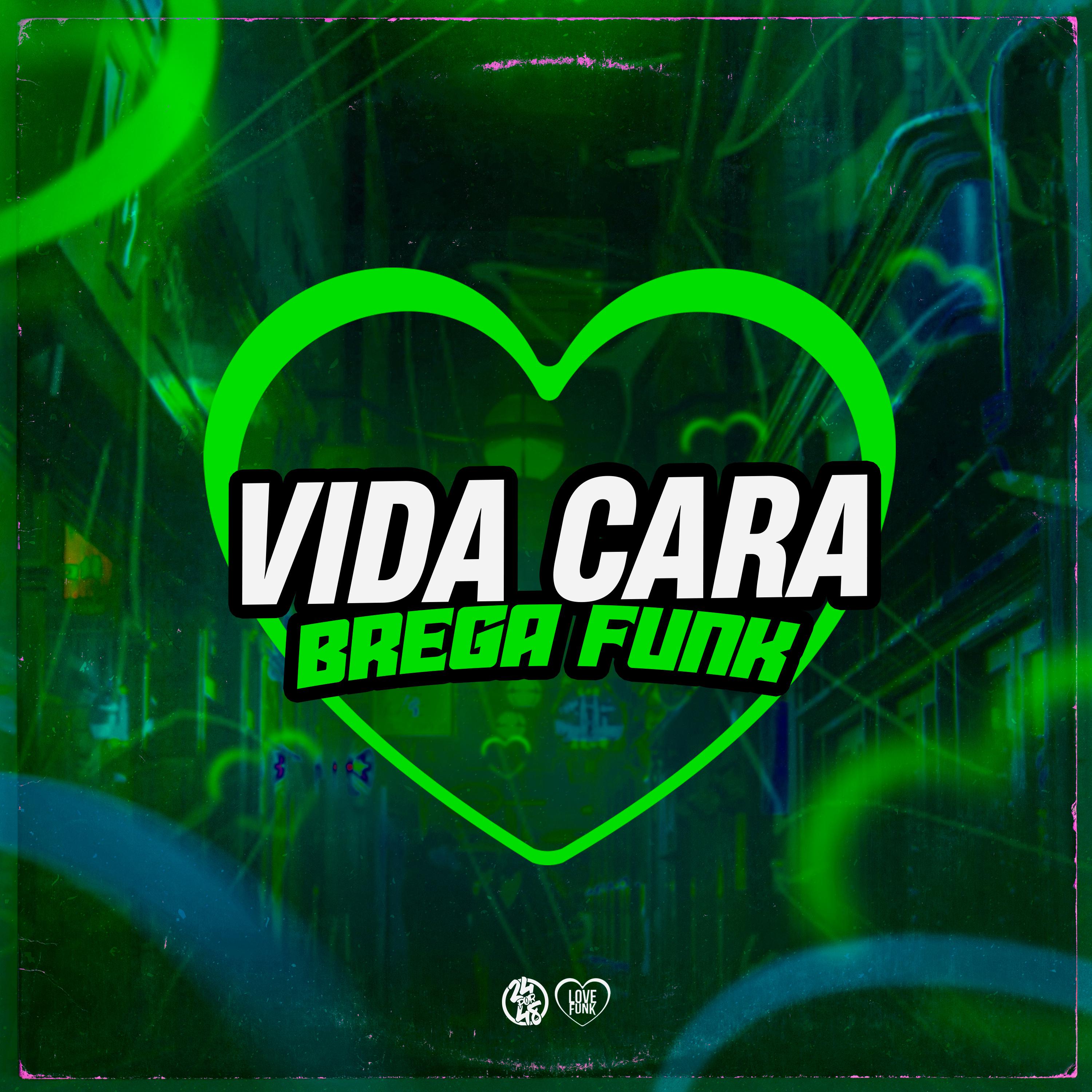 Постер альбома Vida Cara (Brega Funk)