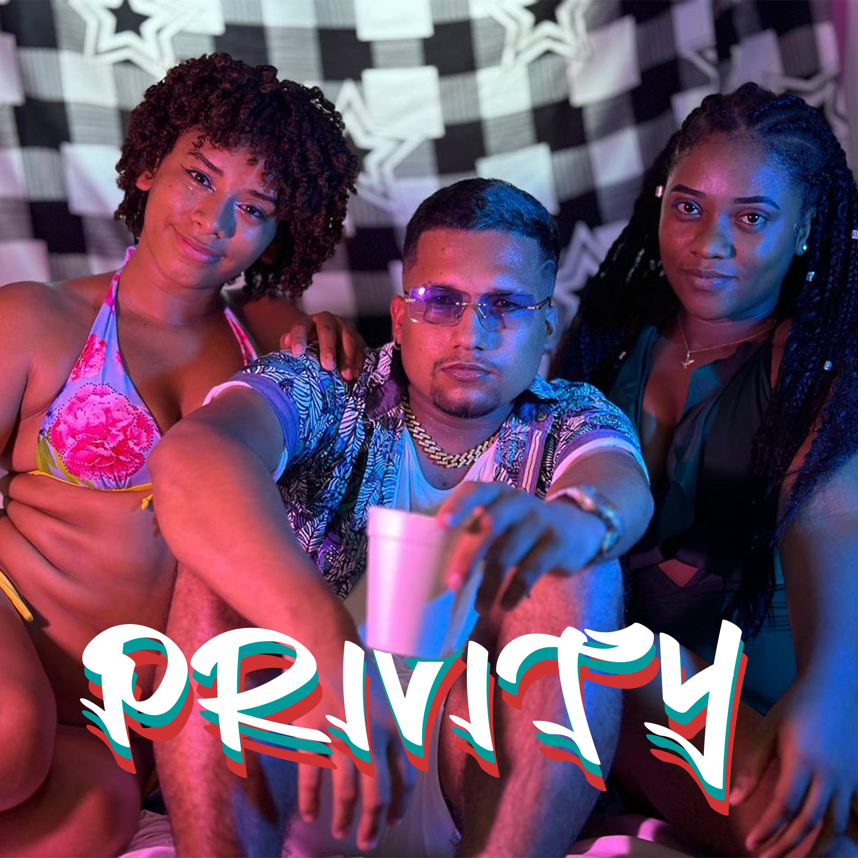 Постер альбома Privity
