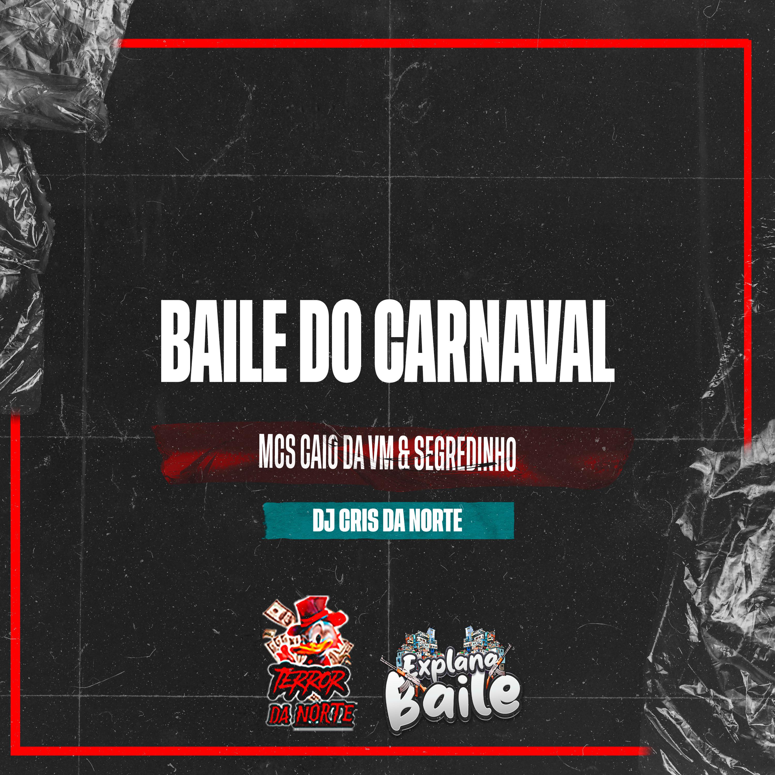Постер альбома Baile do Carnaval