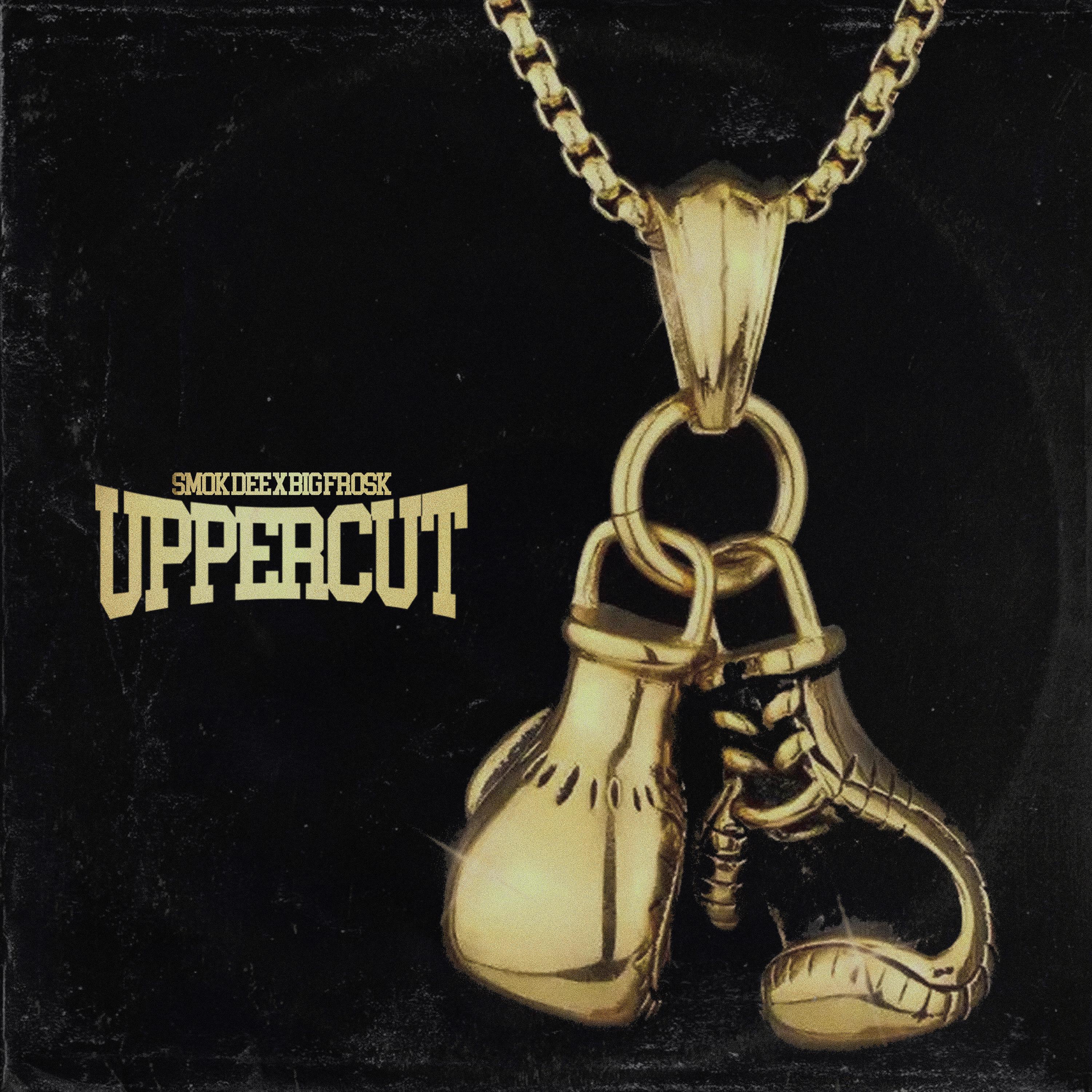 Постер альбома Uppercut