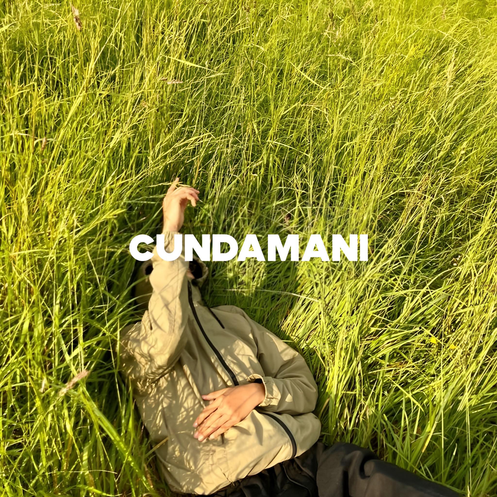 Постер альбома cundami