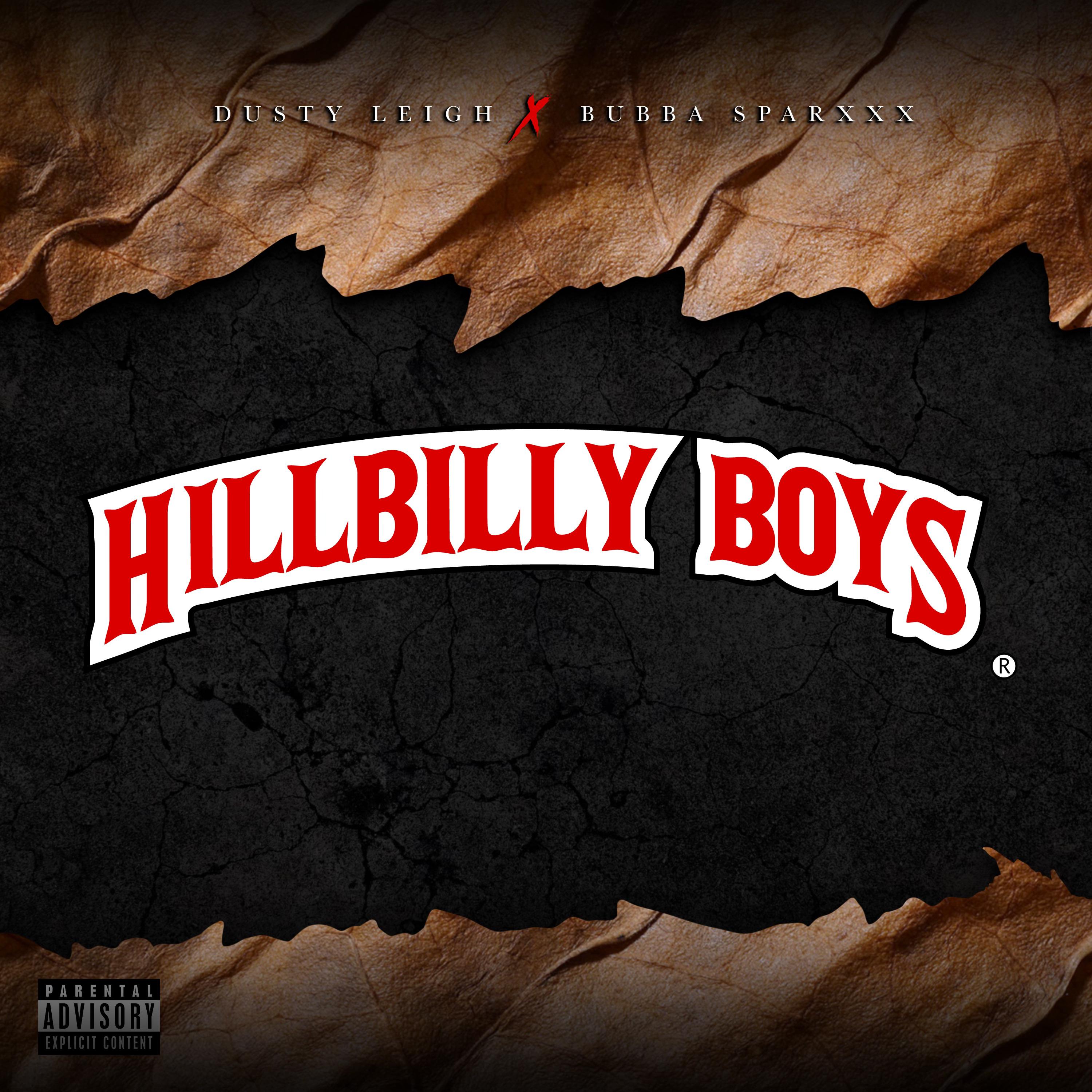 Постер альбома Hillbilly Boys