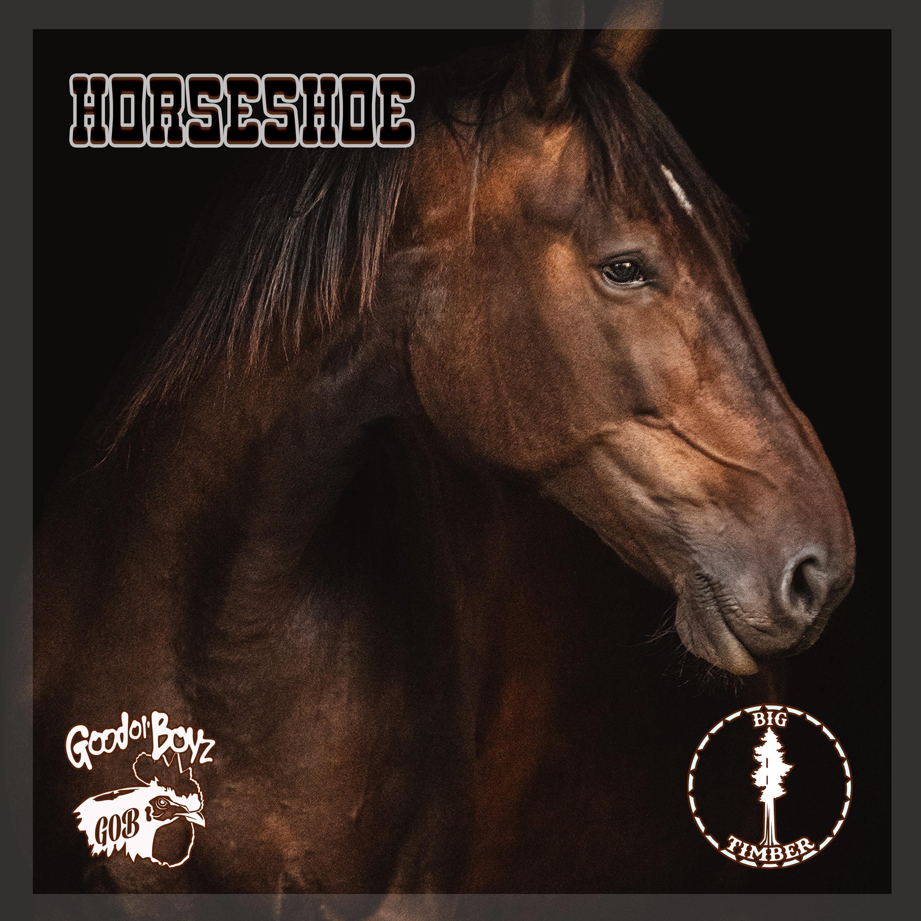 Постер альбома Horseshoe