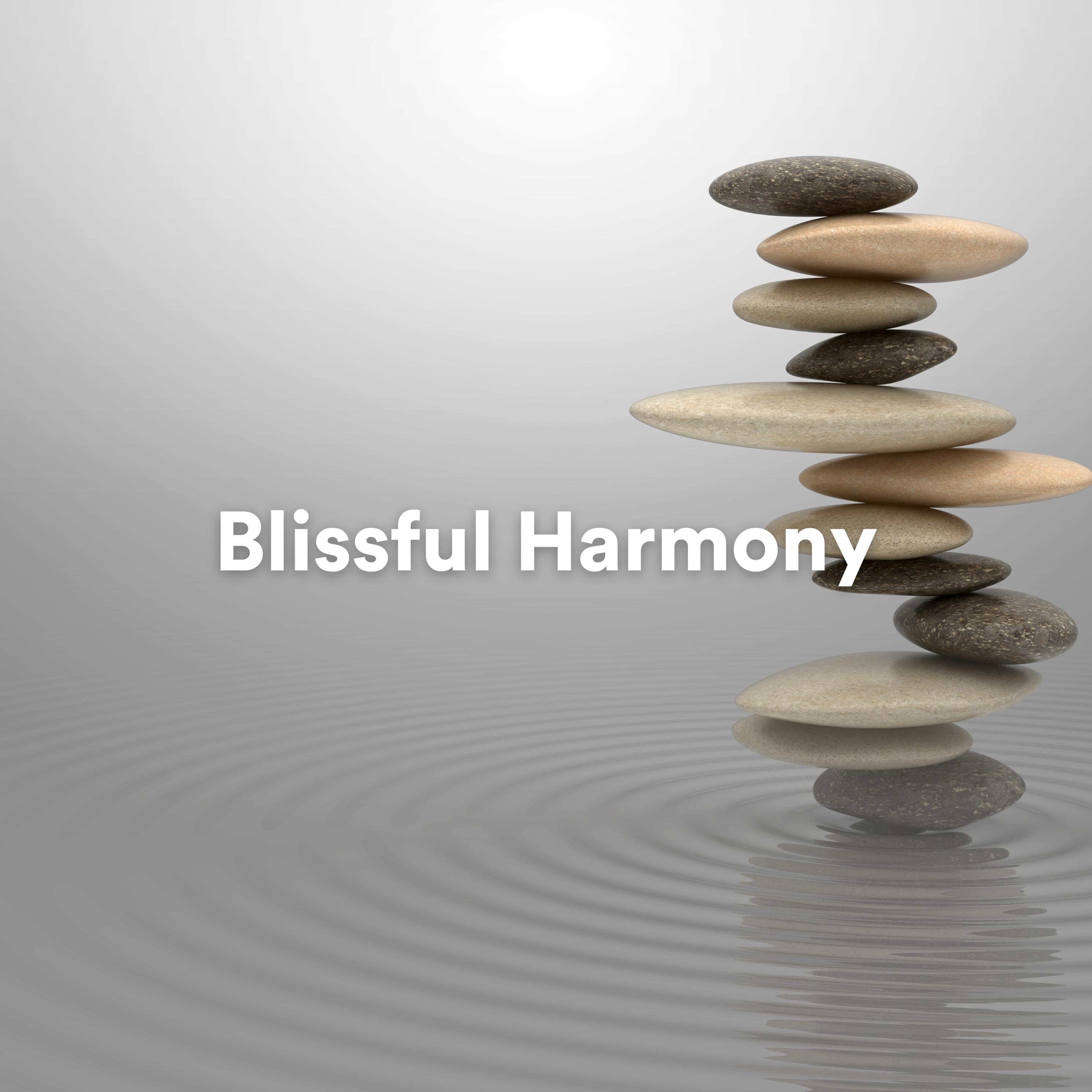Постер альбома Blissful Harmony