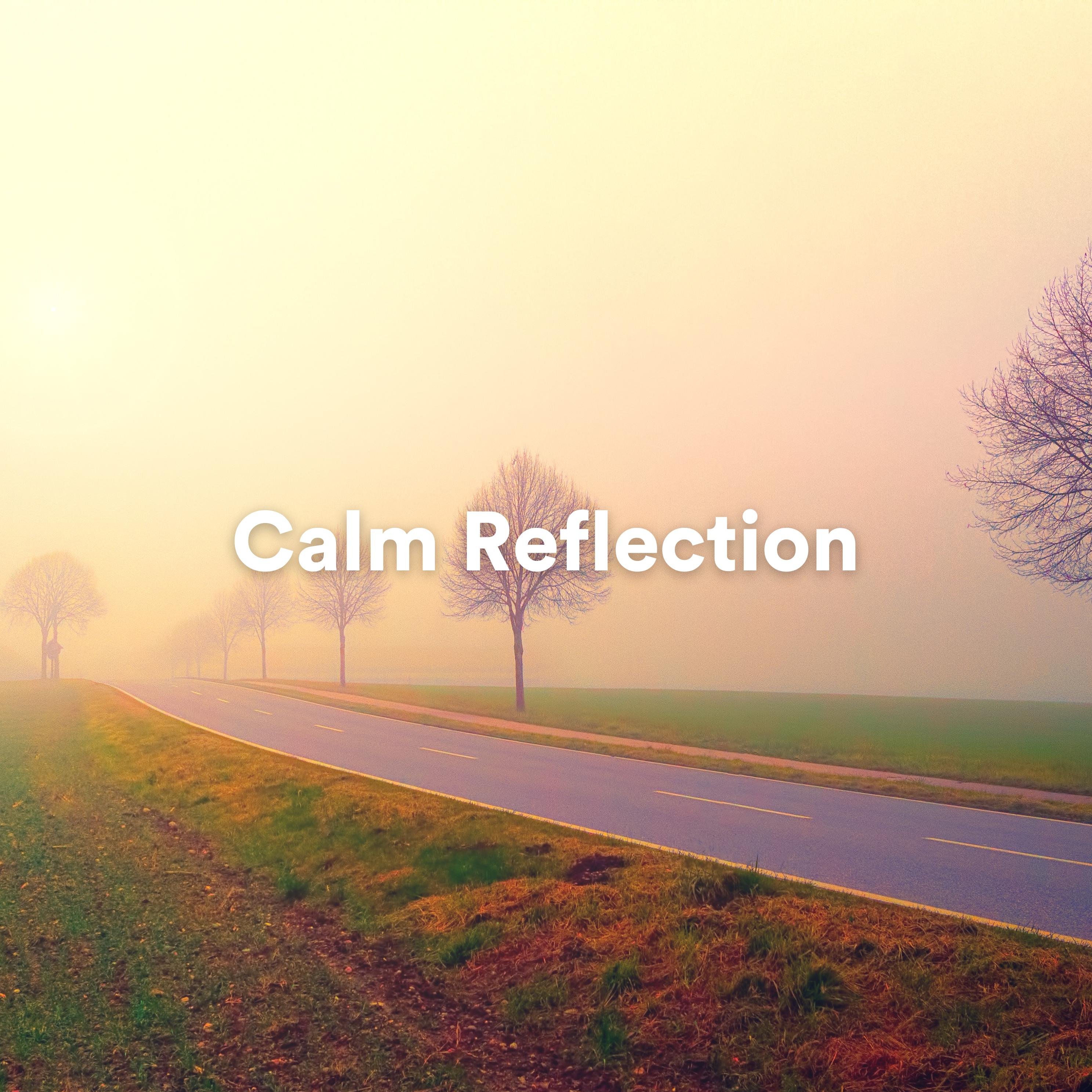 Постер альбома Calm Reflection