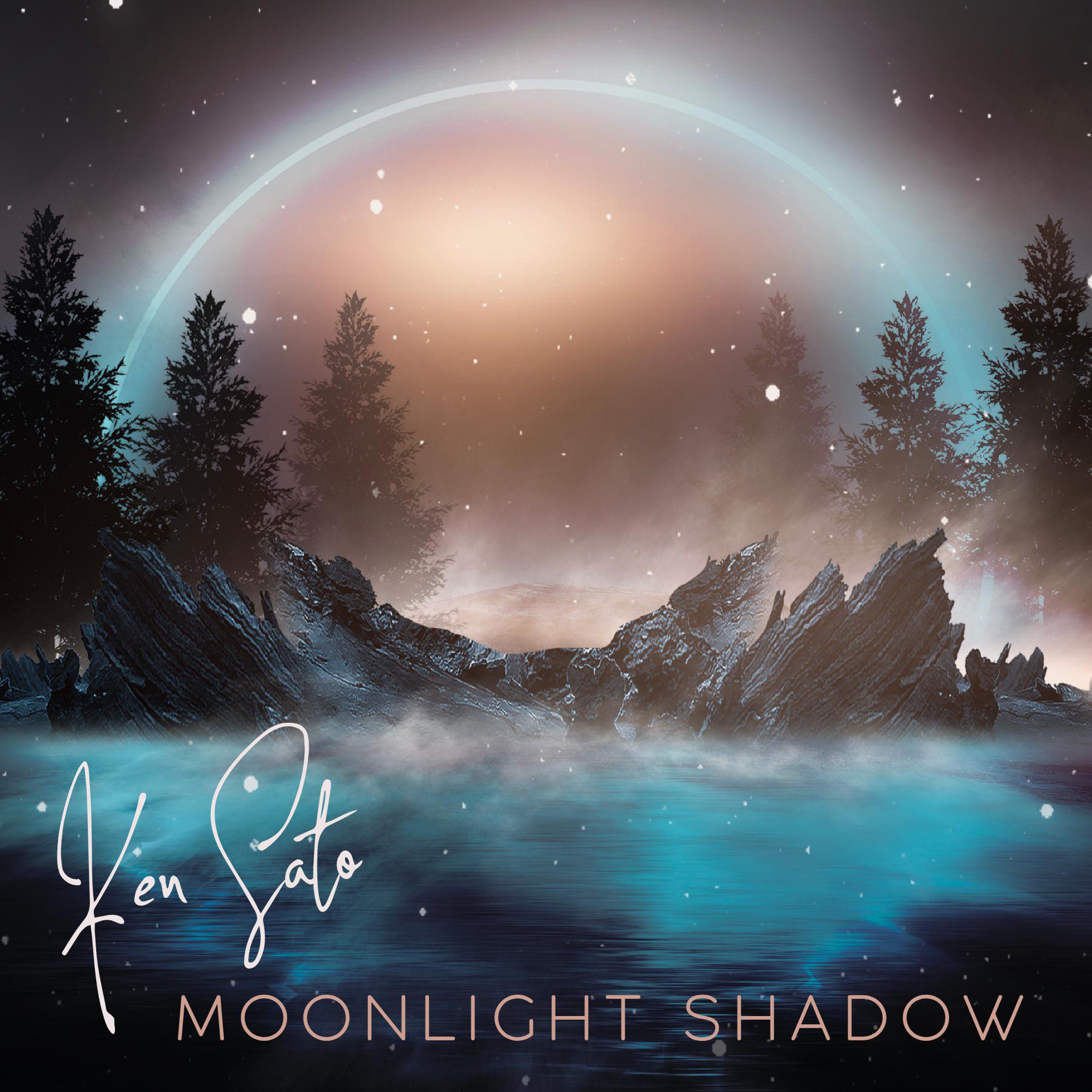 Постер альбома Moonlight Shadown