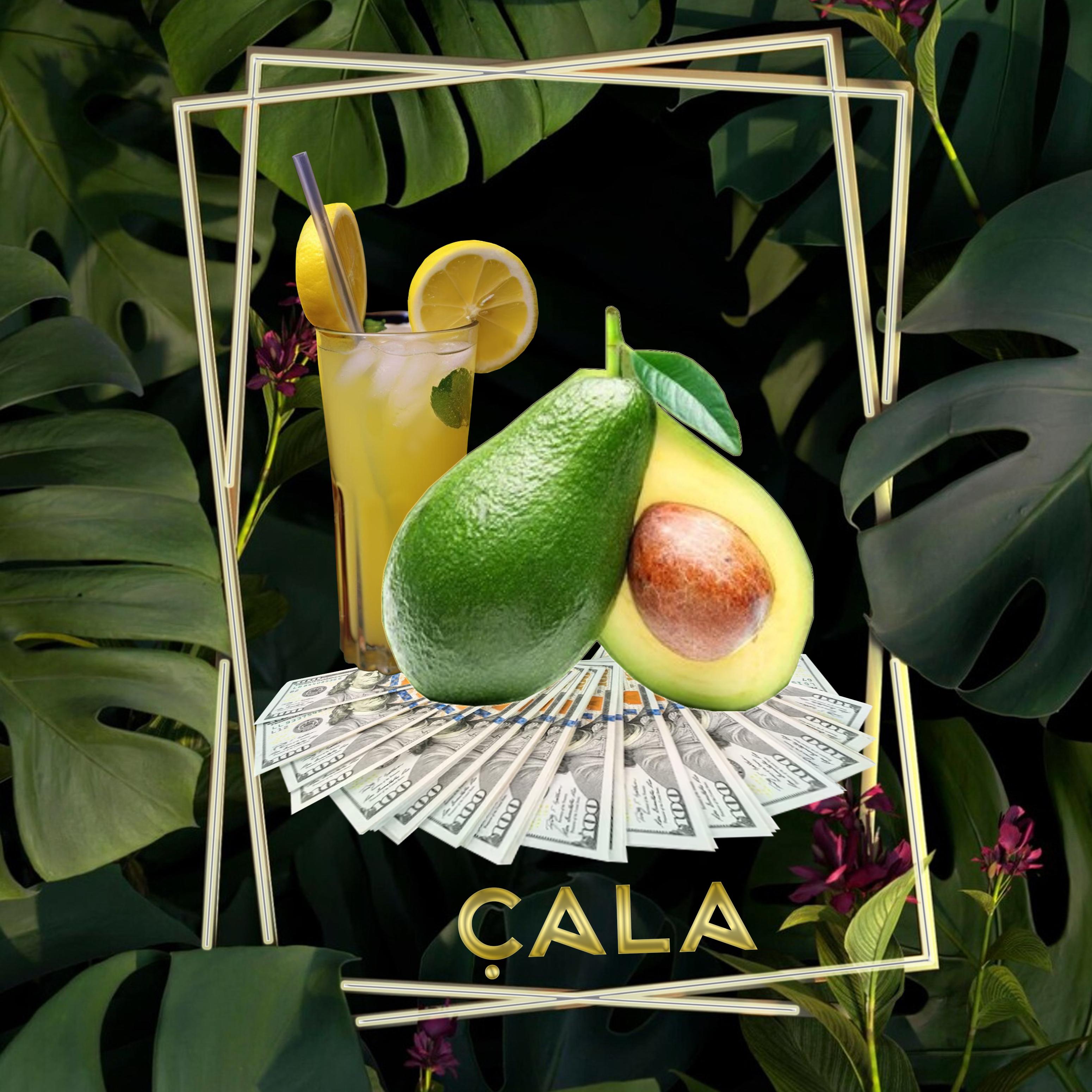 Постер альбома Cala
