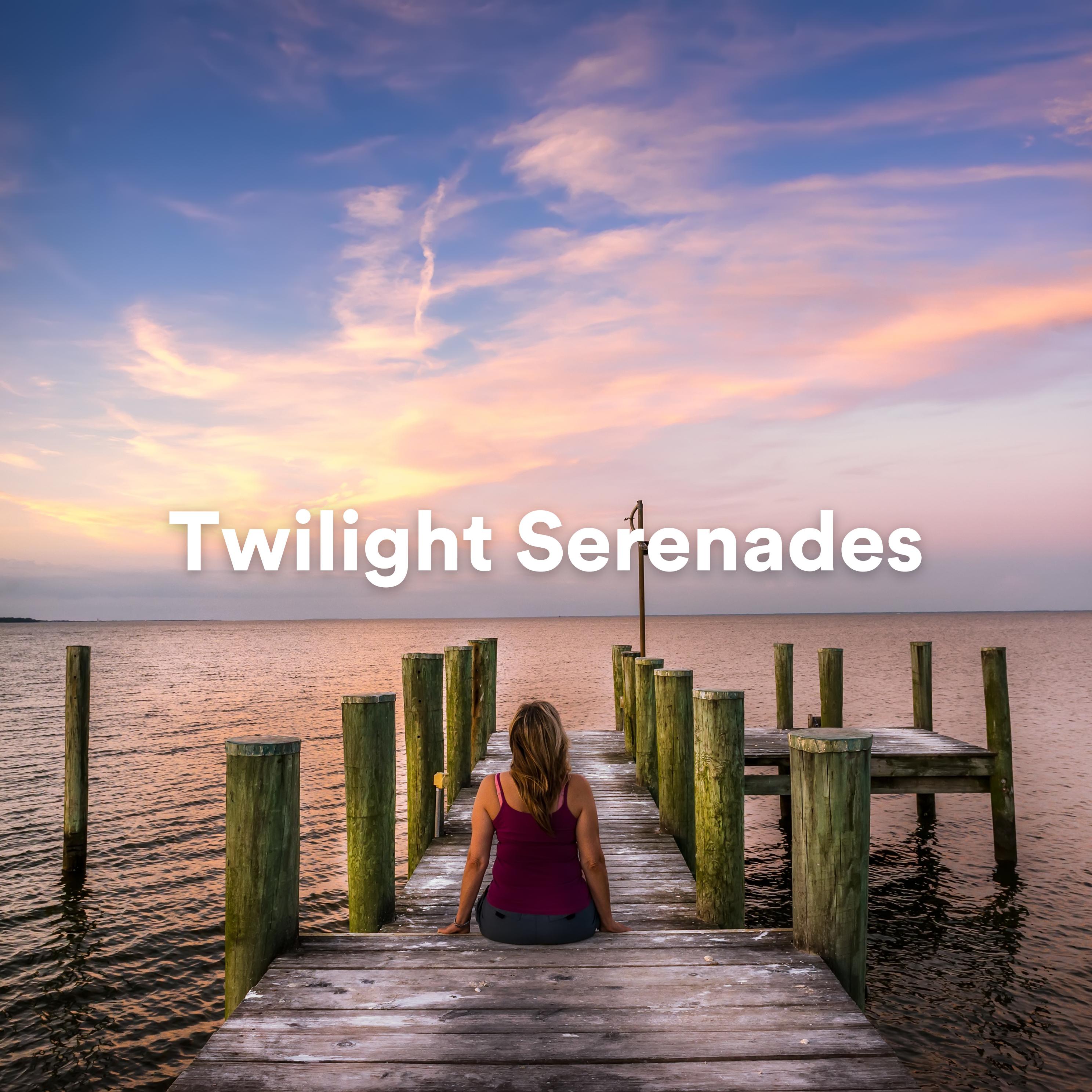 Постер альбома Twilight Serenades