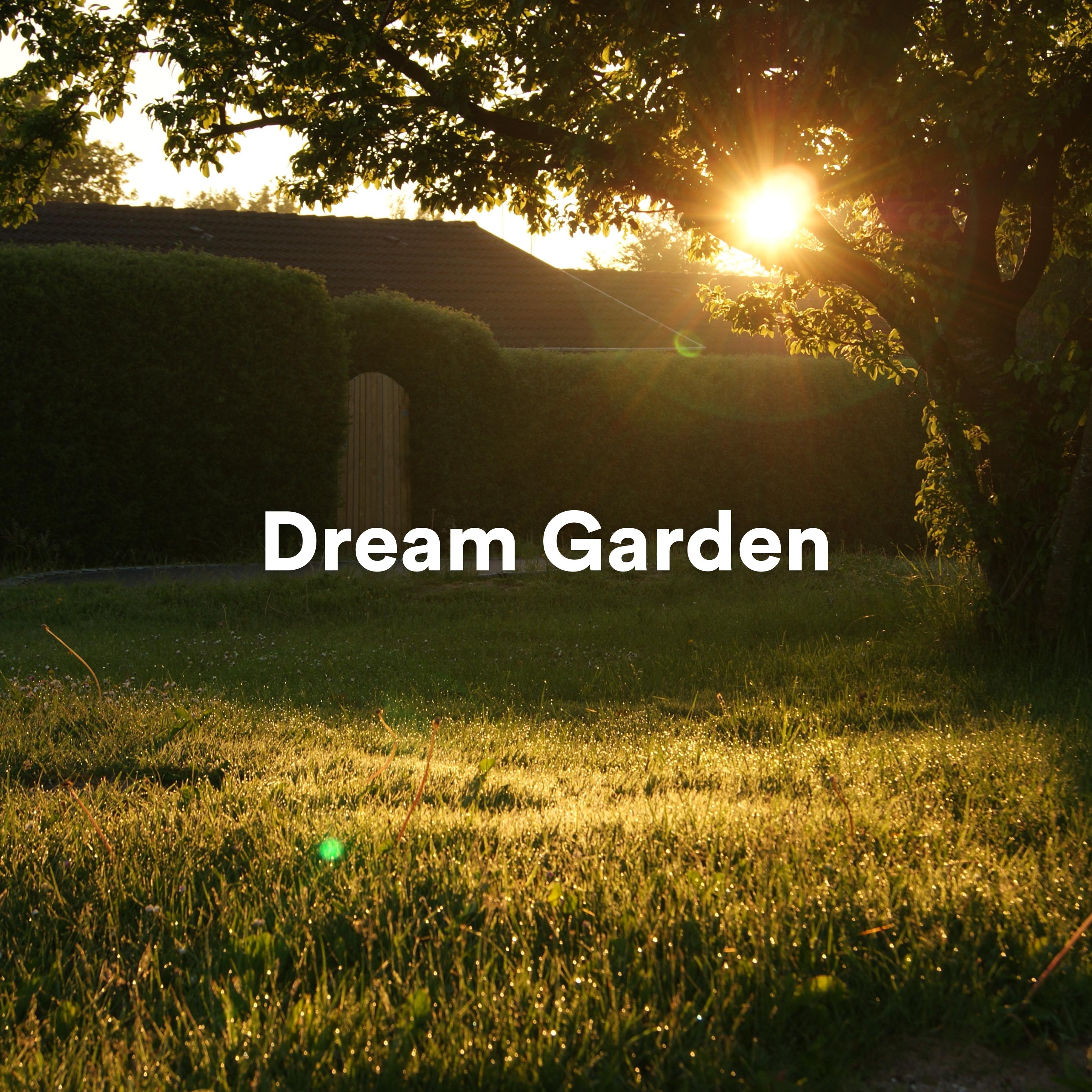 Постер альбома Dream Garden