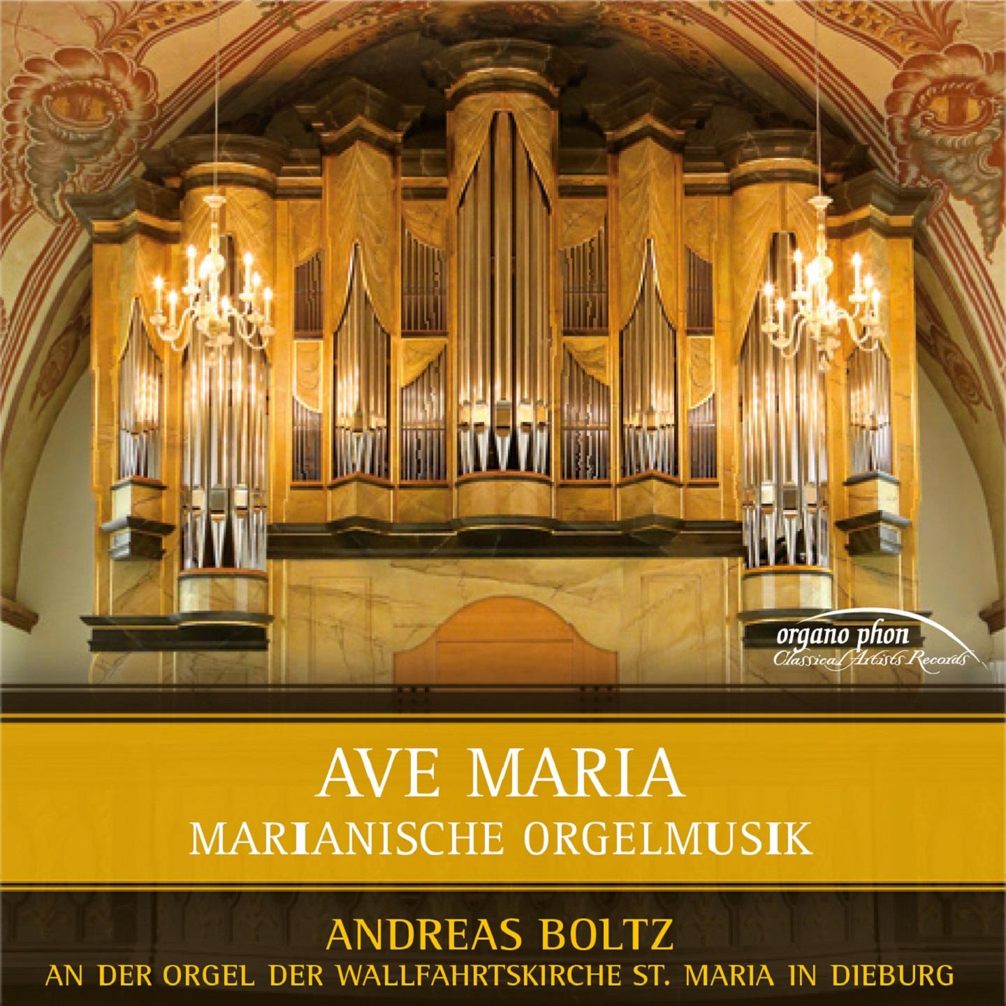 Постер альбома Ave Maria: Orgel der Wallfahrtskirche Santa Maria, Dieburg