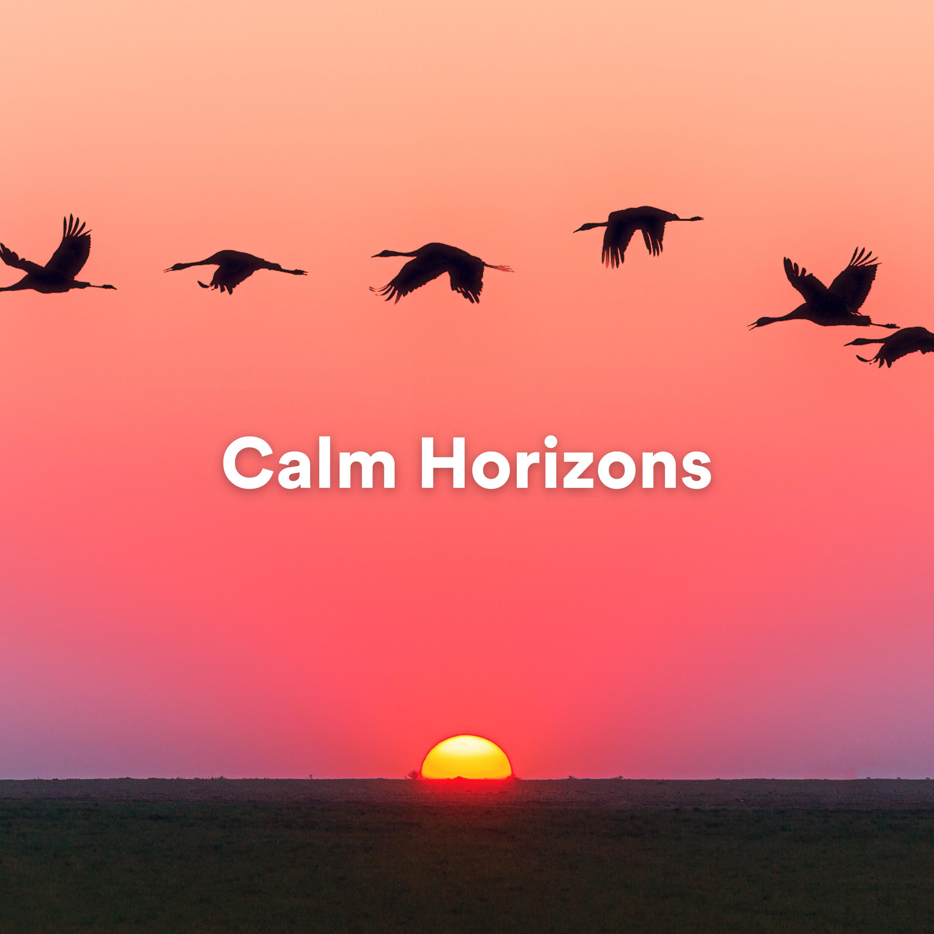 Постер альбома Calm Horizons: Ambient Meditations for Tranquility and Relaxation