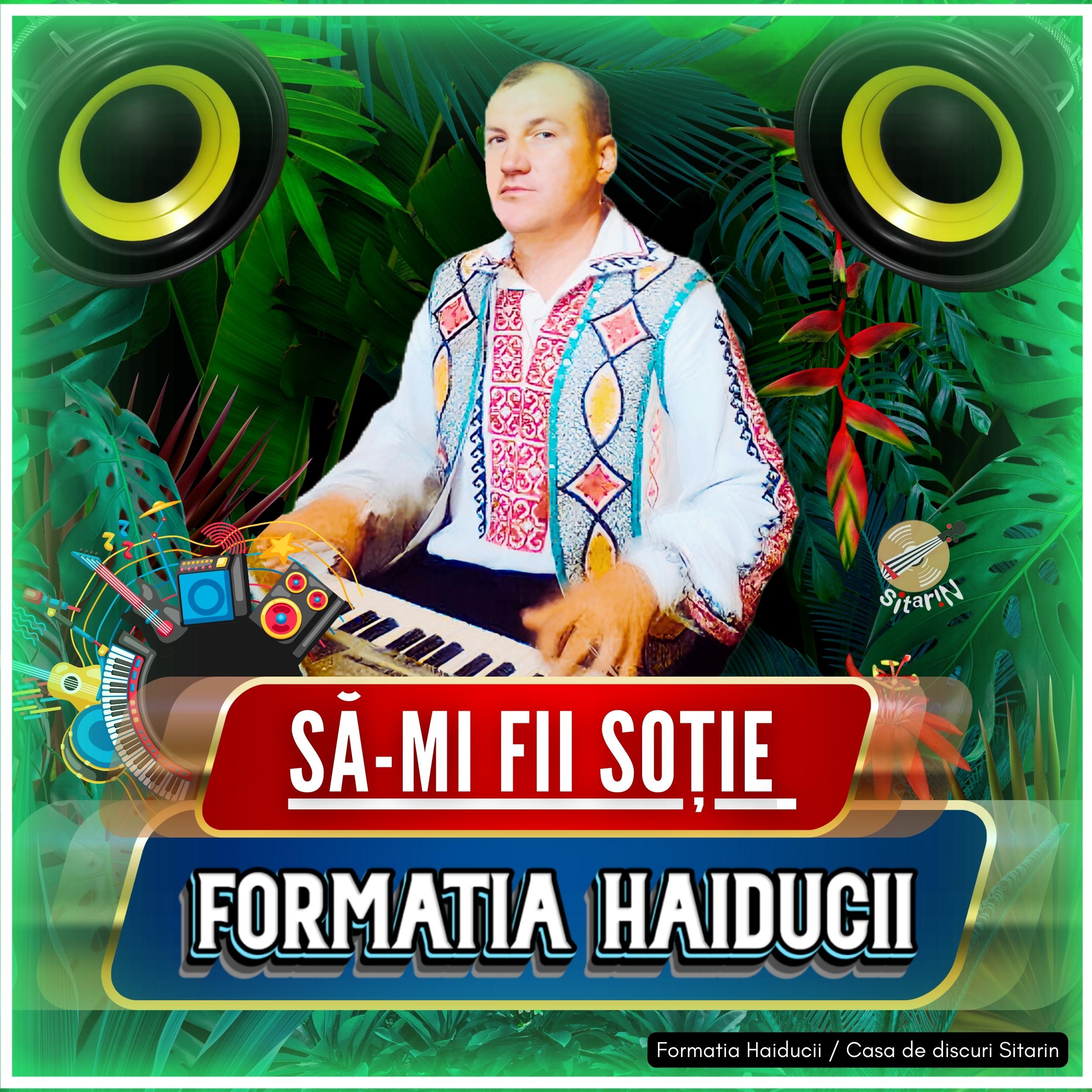 Постер альбома Să-mi fii soție