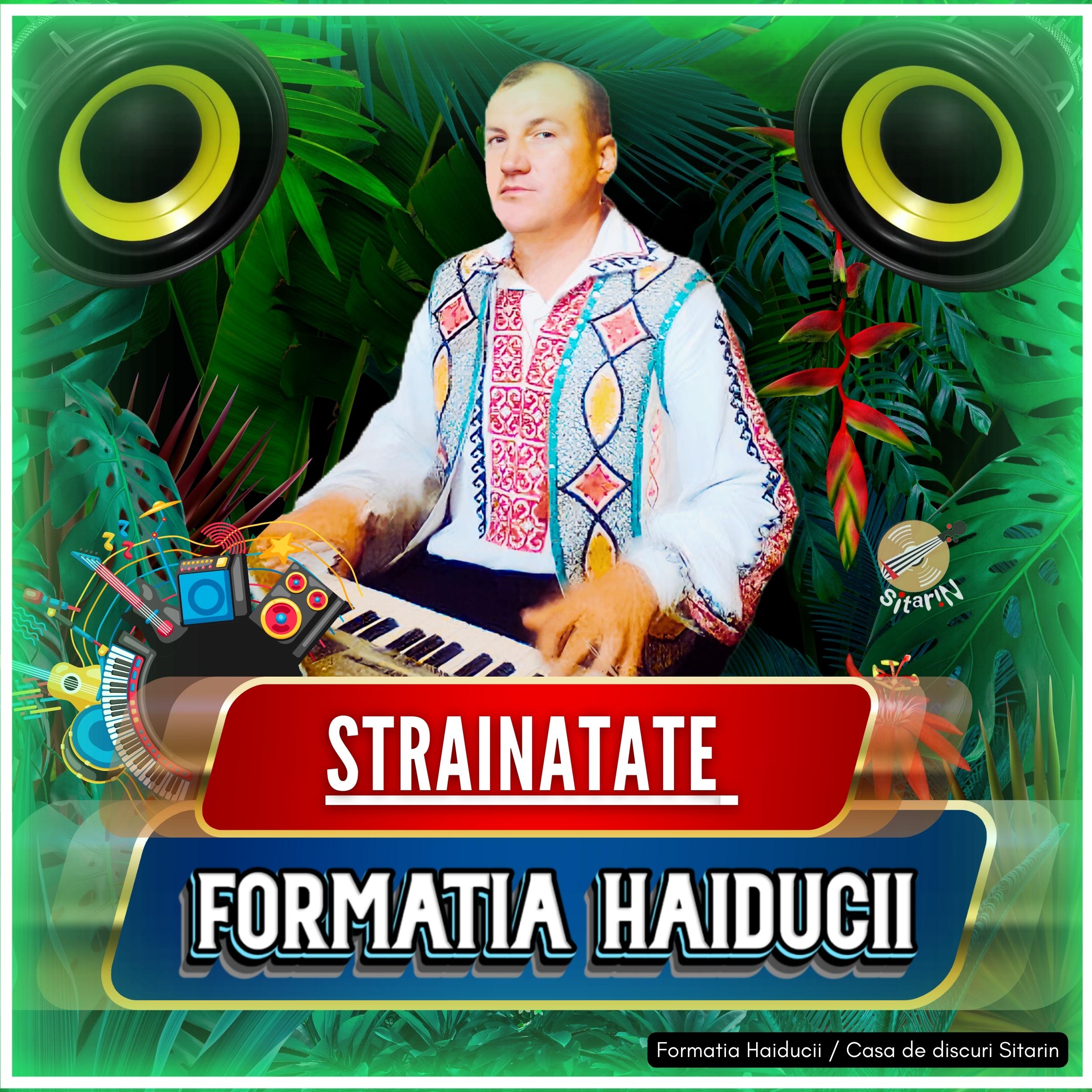 Постер альбома Strainatate