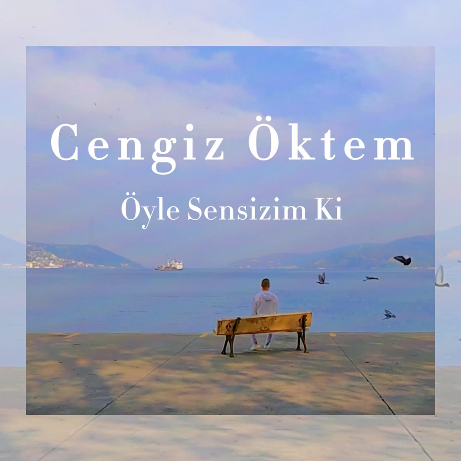 Постер альбома Öyle Sensizim Ki