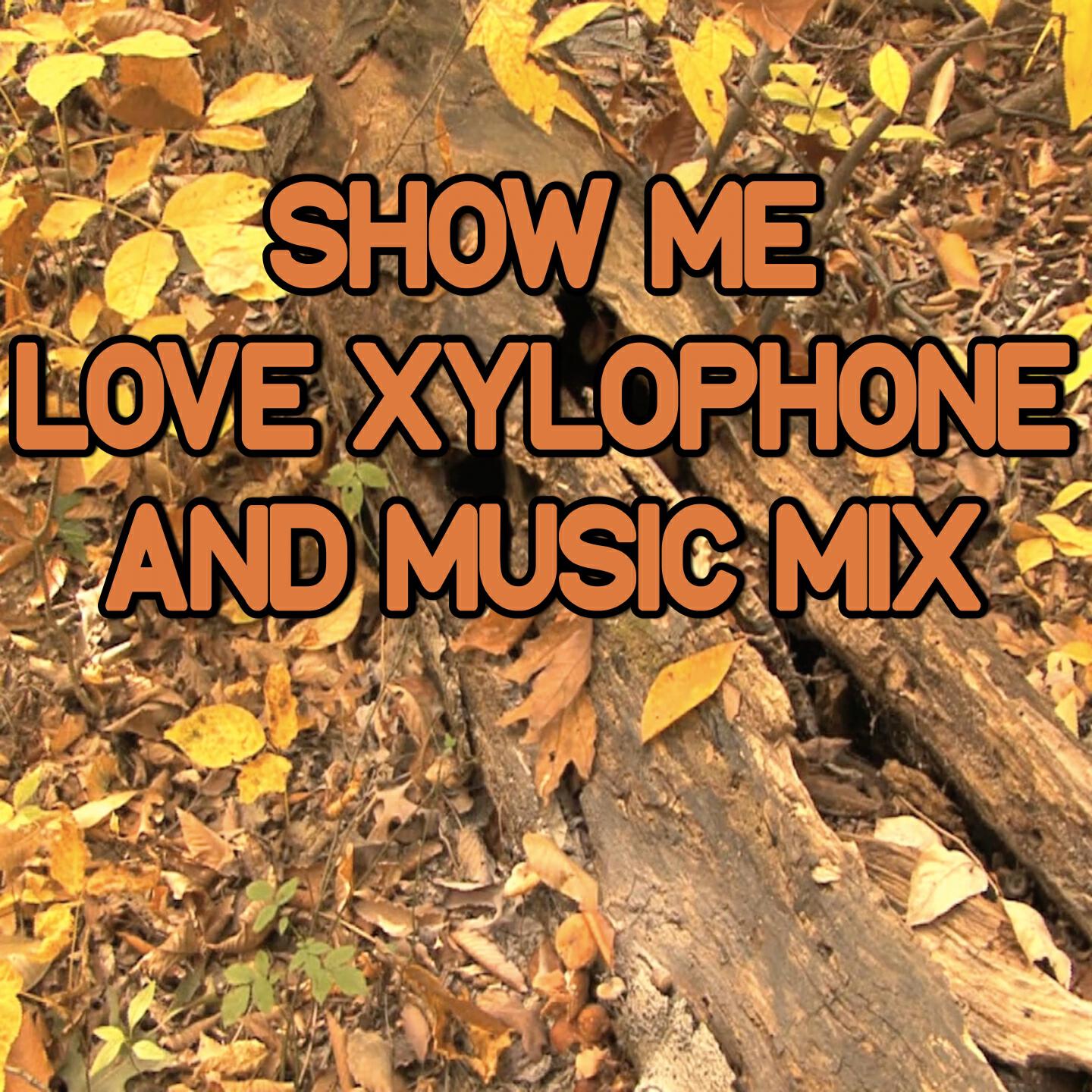 Swift Hits - Show Me Love Xylophone HIp Hop Drum And Bass Remix