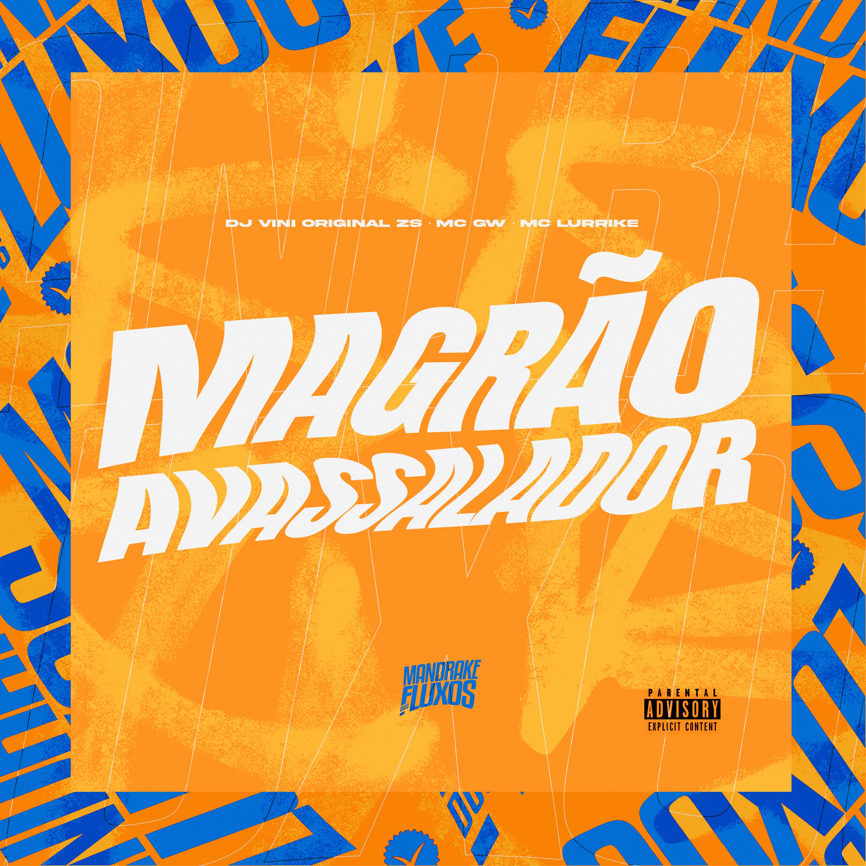 Постер альбома Magrão Avassalador