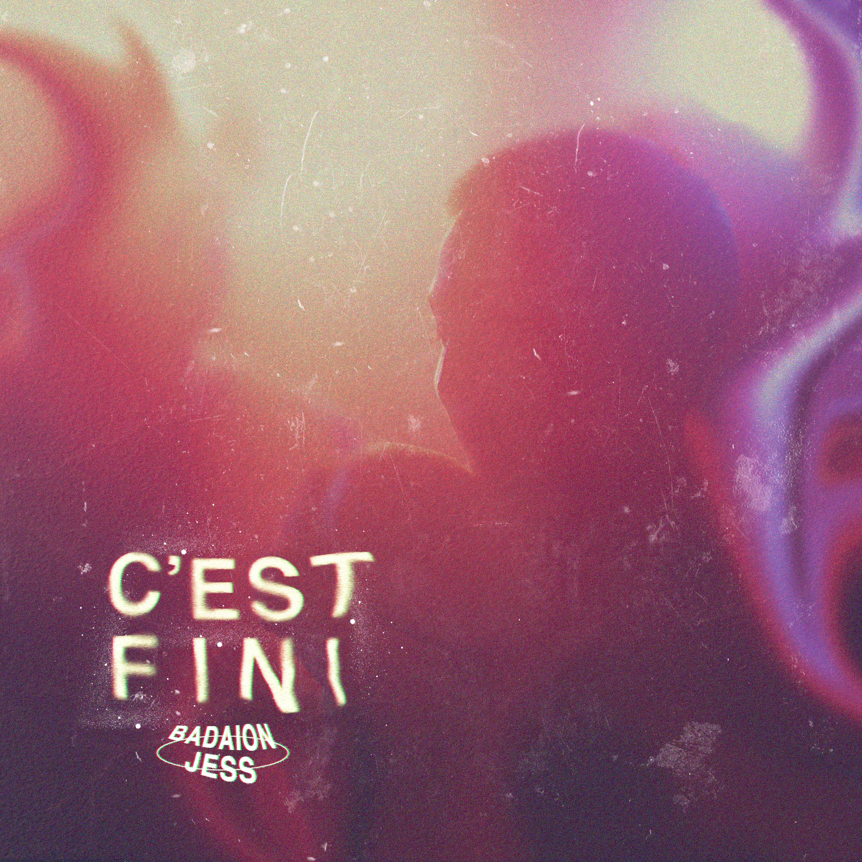 Постер альбома C'est Fini