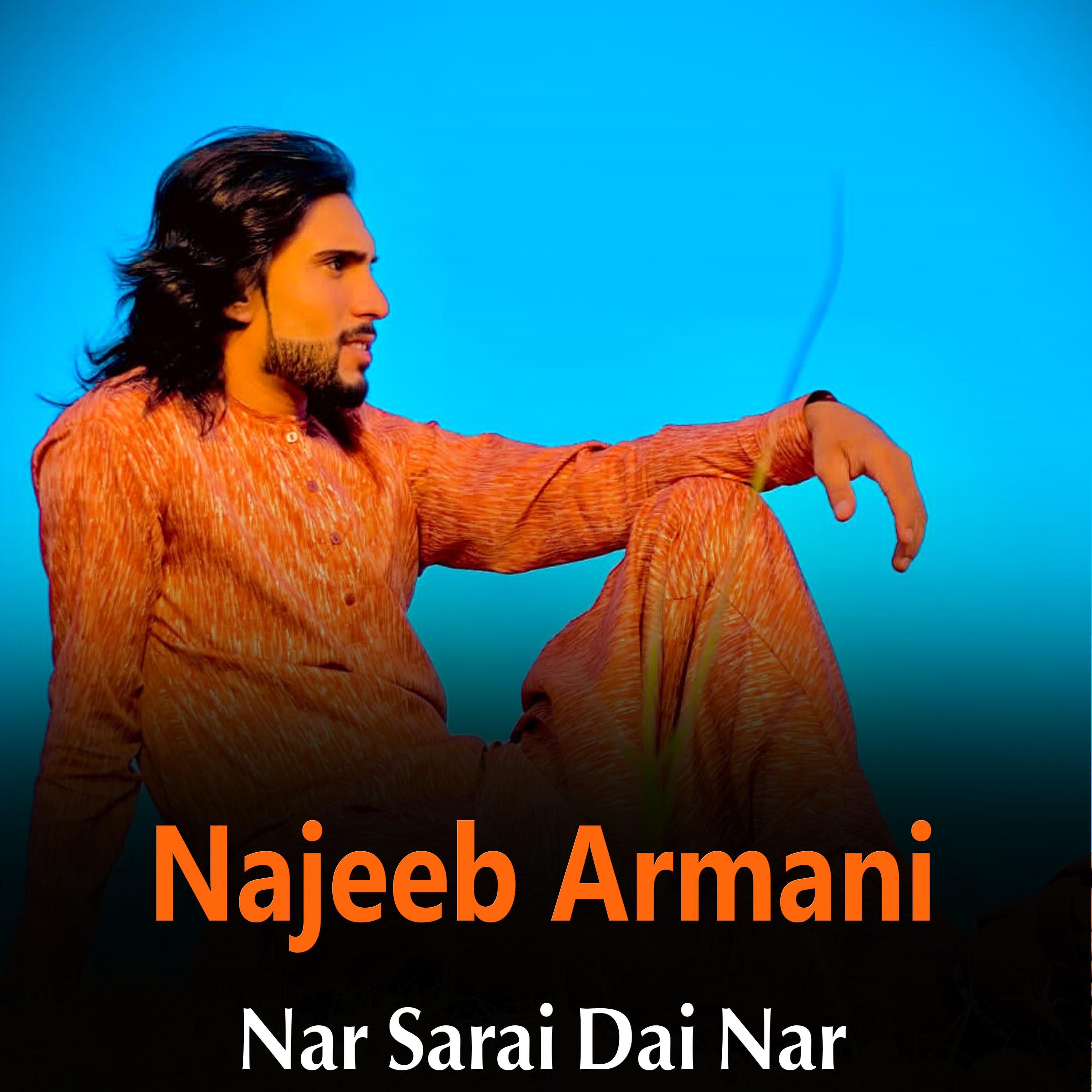 Постер альбома Nar Sarai Dai Nar