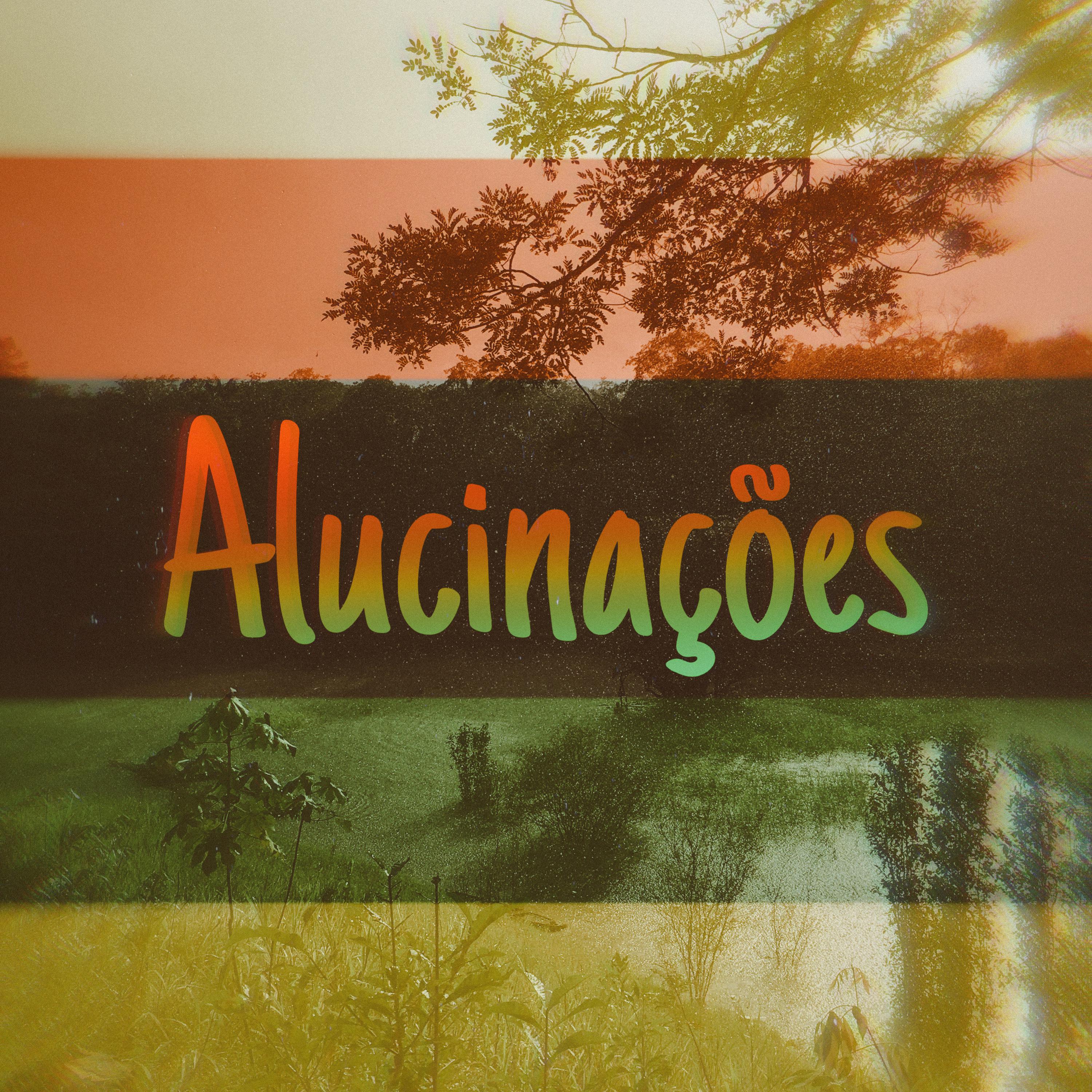 Постер альбома Alucinações
