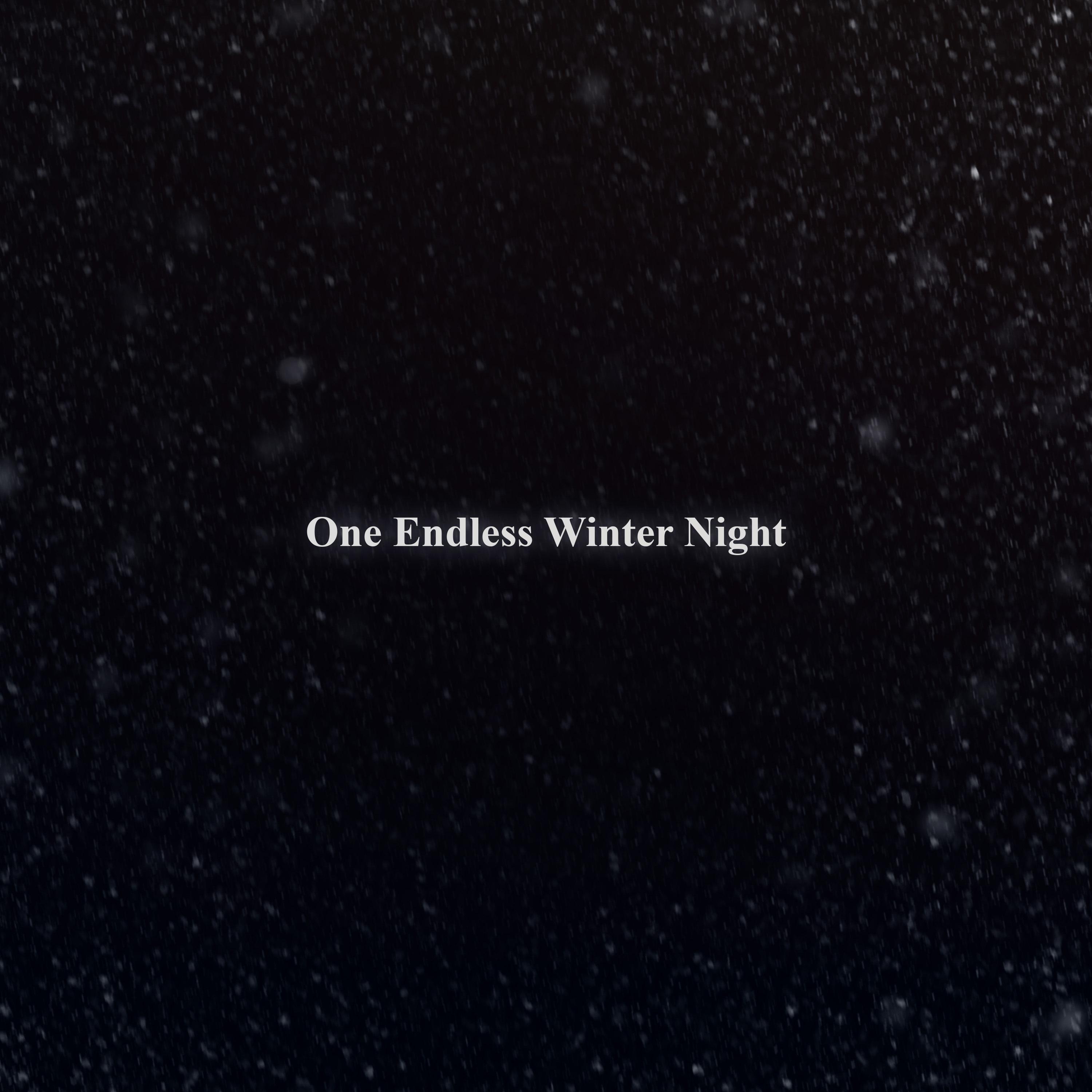 Постер альбома One Endless Winter Night