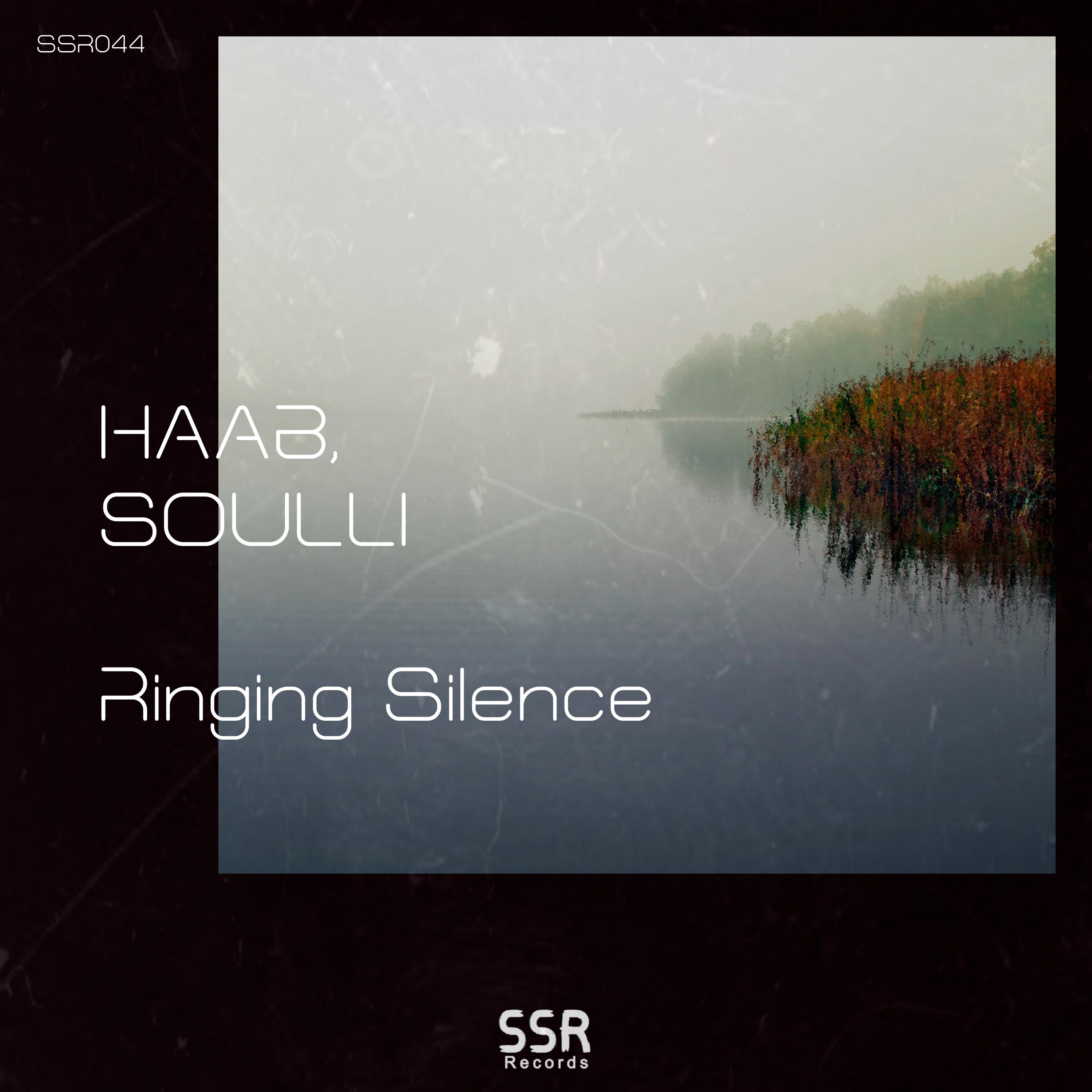 Постер альбома Ringing Silence