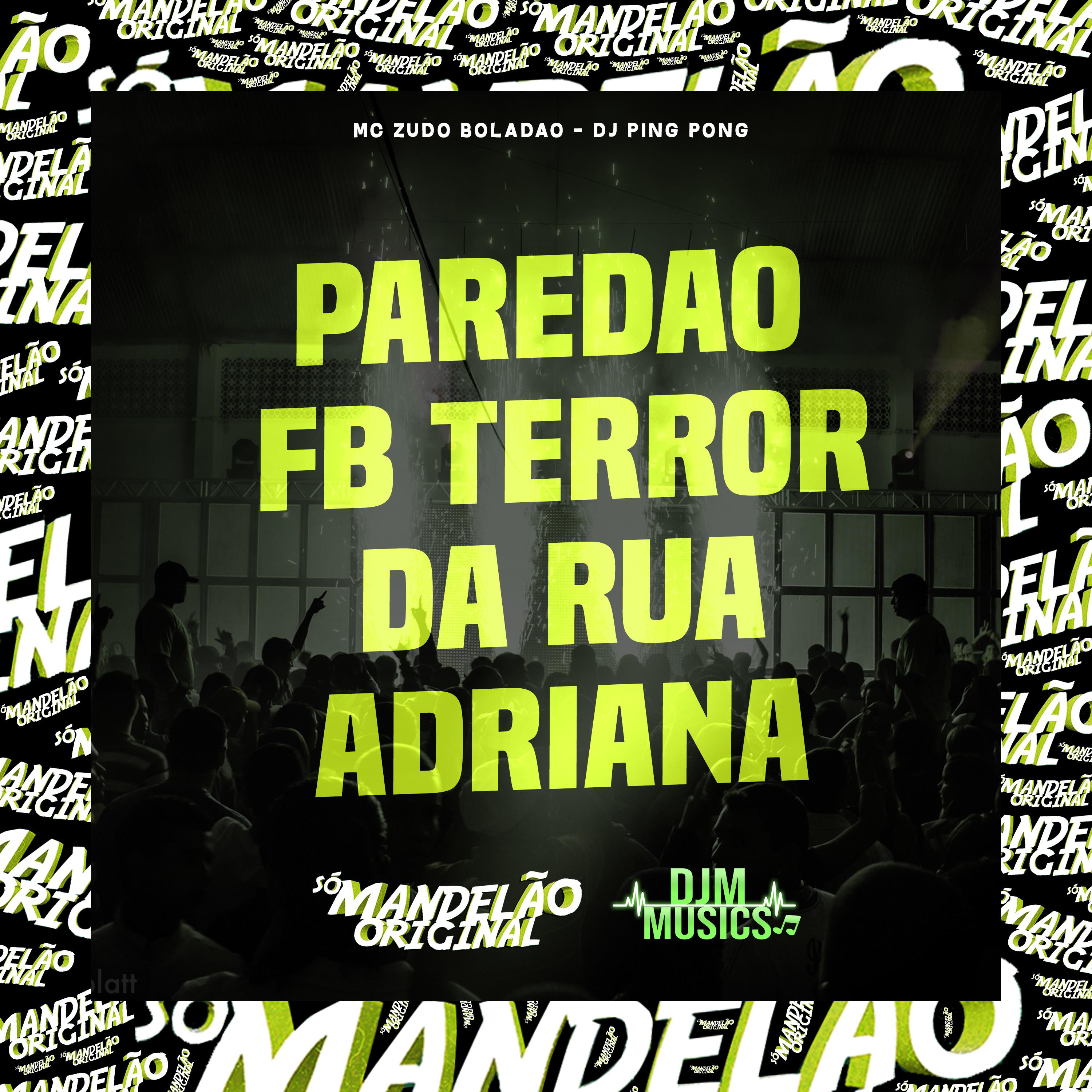 Постер альбома Paredao Fb Terror da Rua Adriana