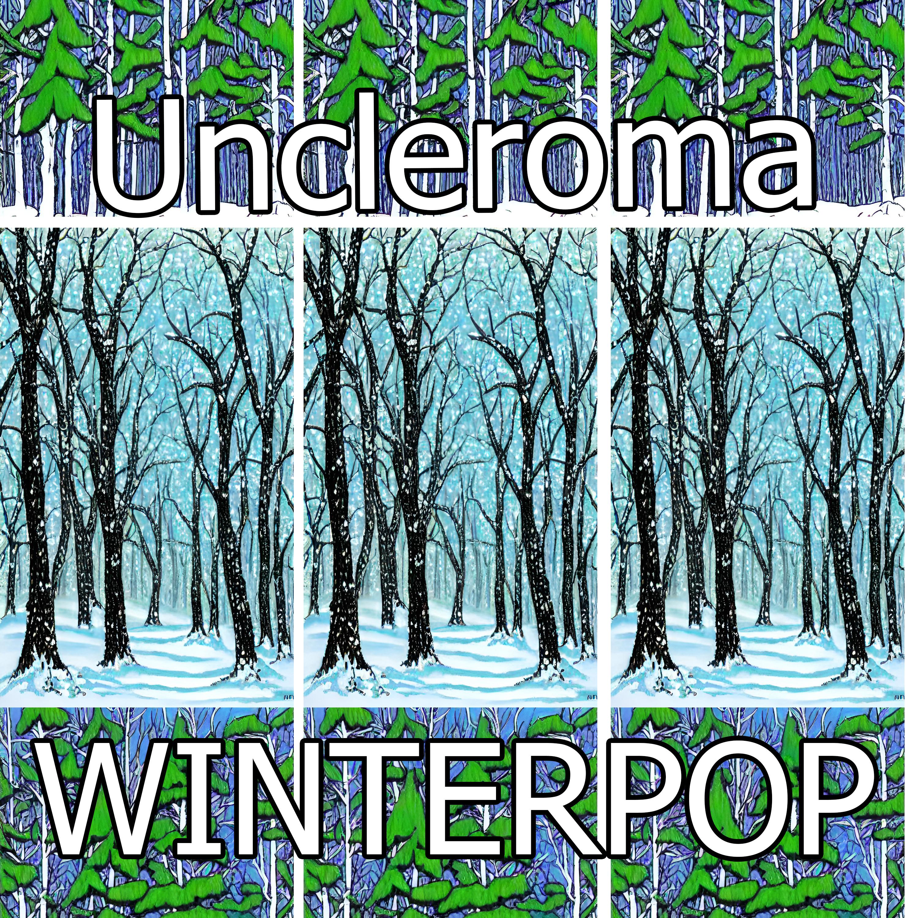 Постер альбома Winterpop