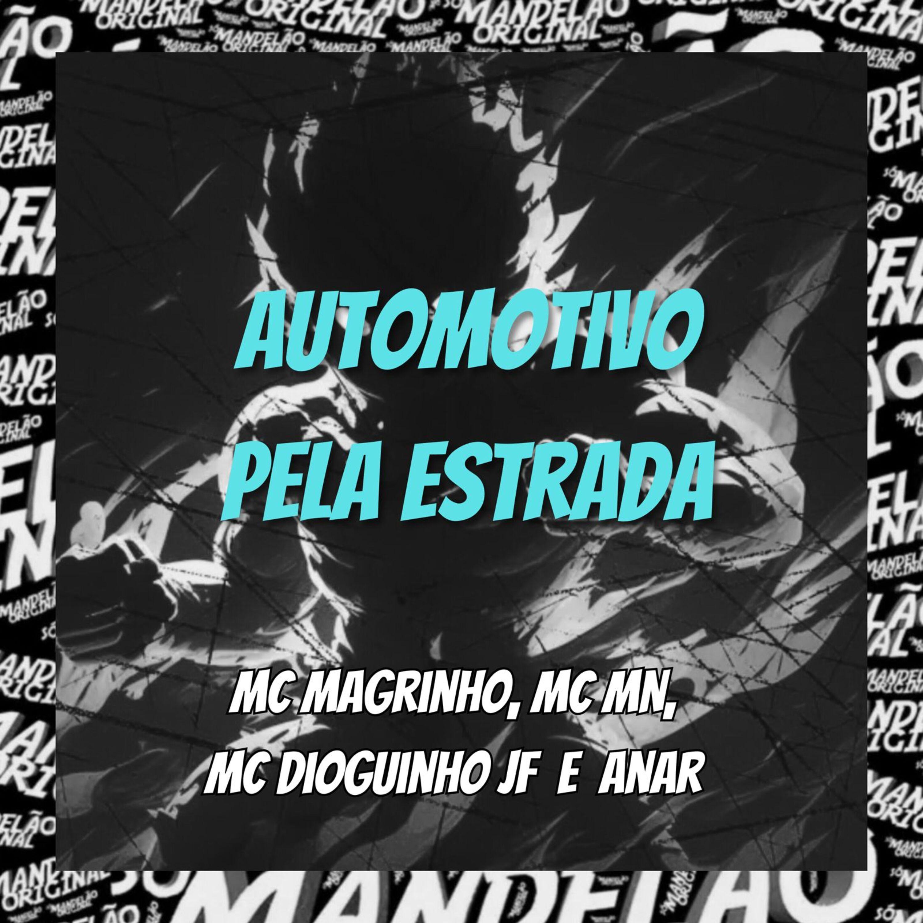 Постер альбома Automotivo pela Estrada