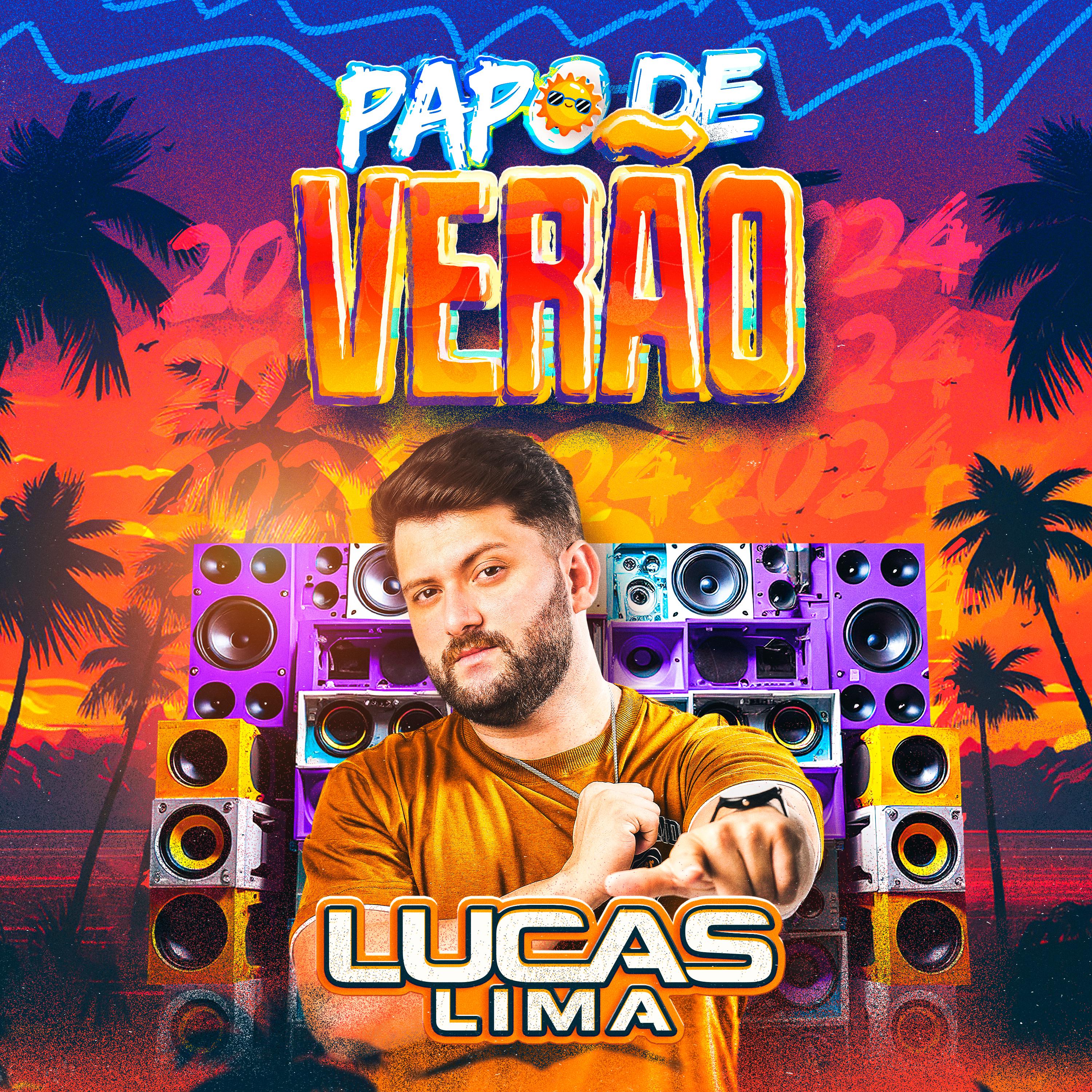 Постер альбома Papo de Verão