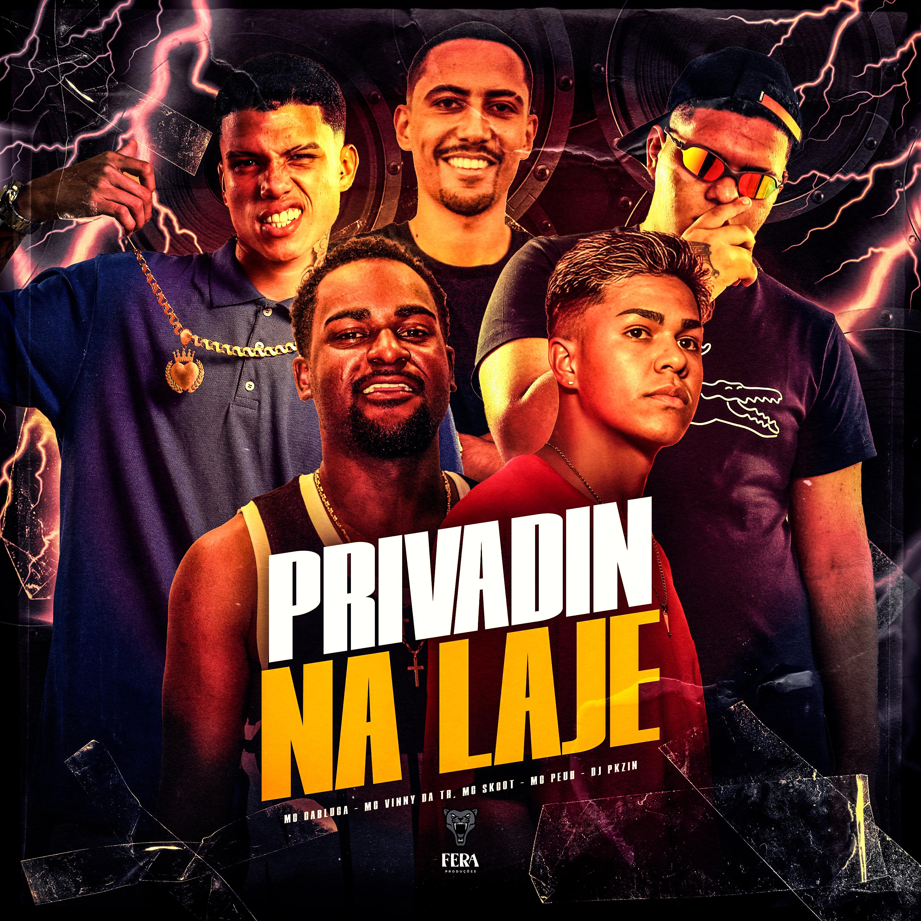 Постер альбома Privadin na Laje