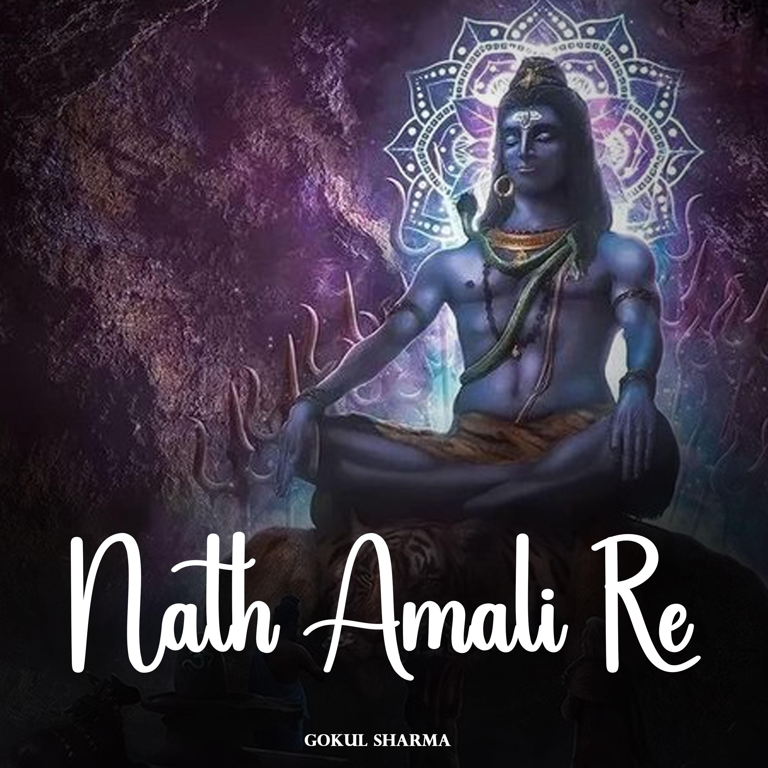 Постер альбома Nath Amali Re