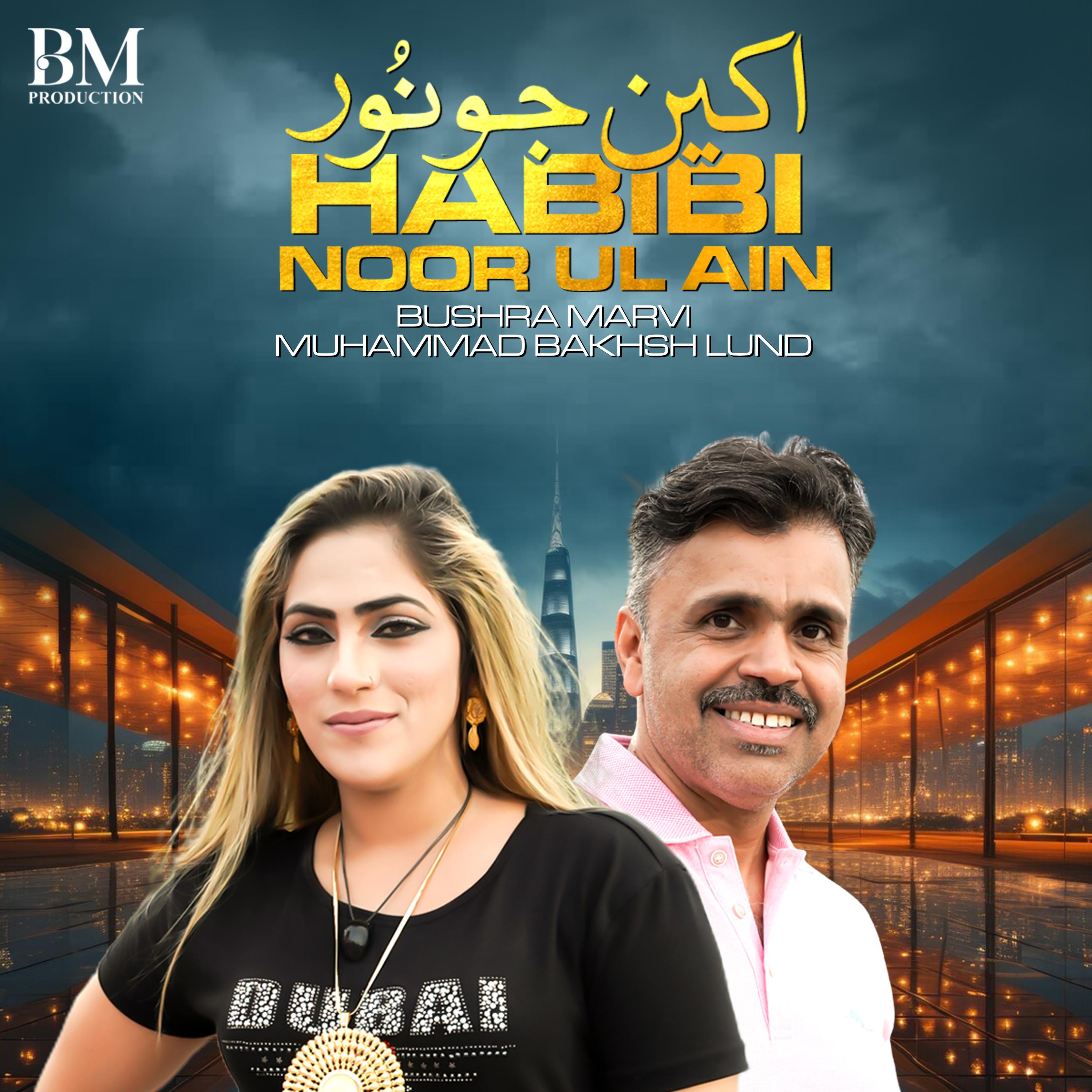 Постер альбома Habibi Noor Ul Ain