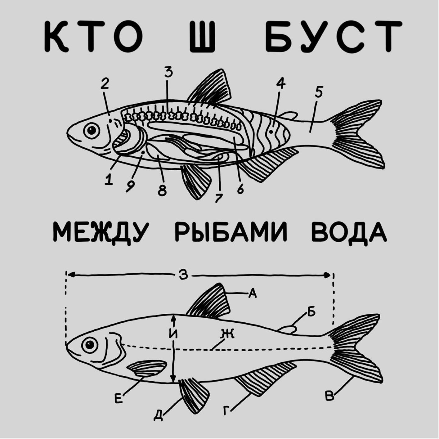 Постер альбома Между рыбами вода