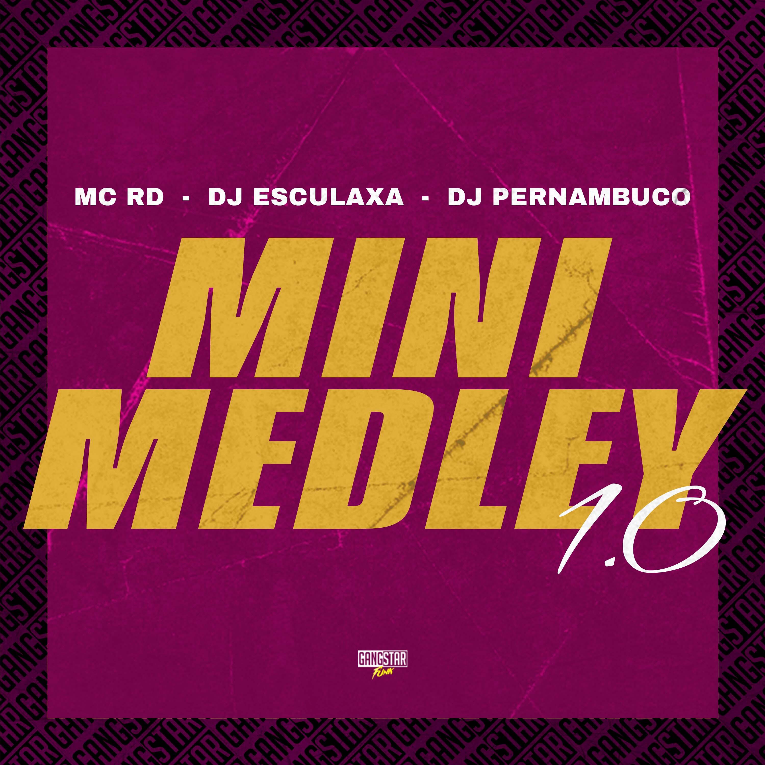 Постер альбома Mini Medley 1.0