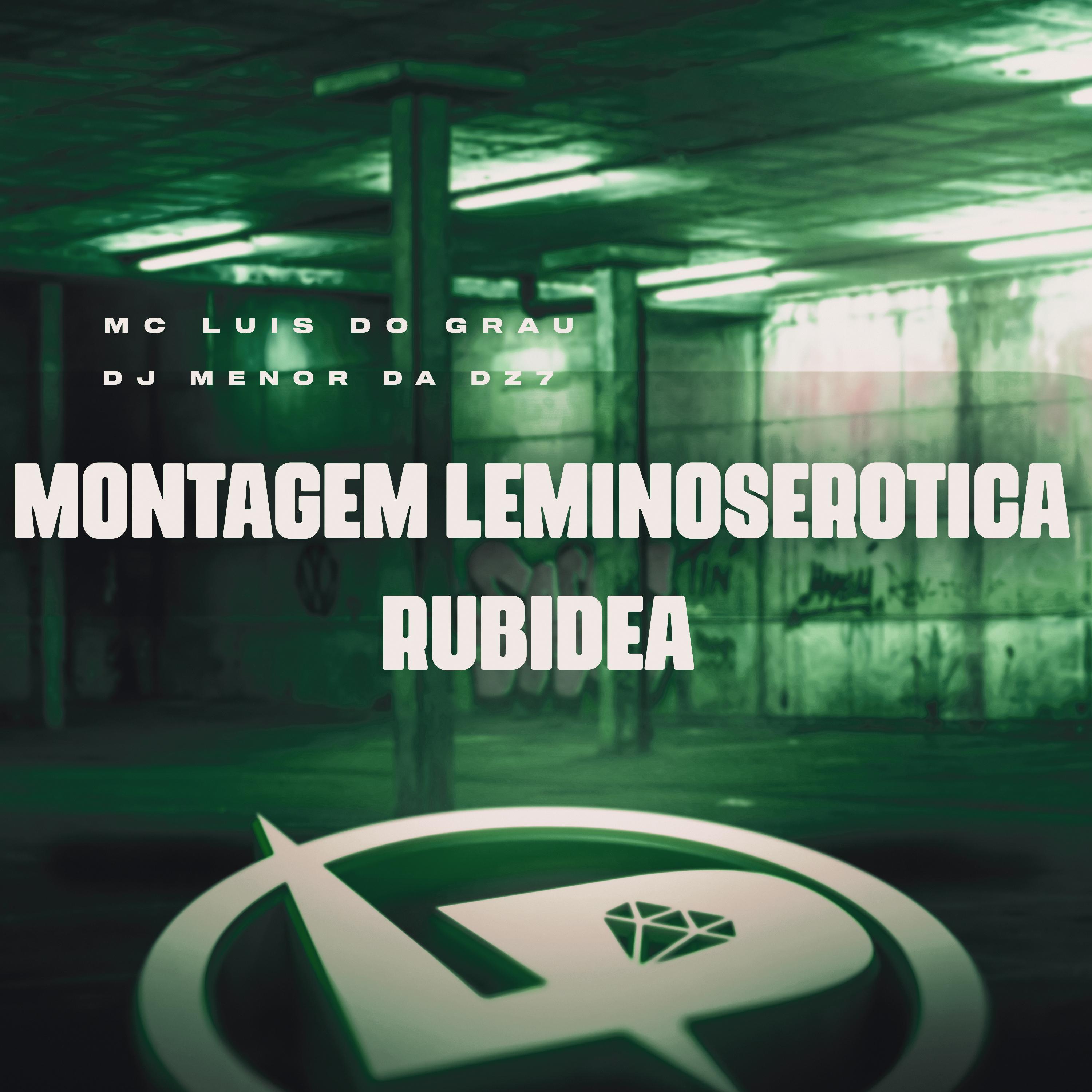 Постер альбома Montagem Leminoserotica Rubídea