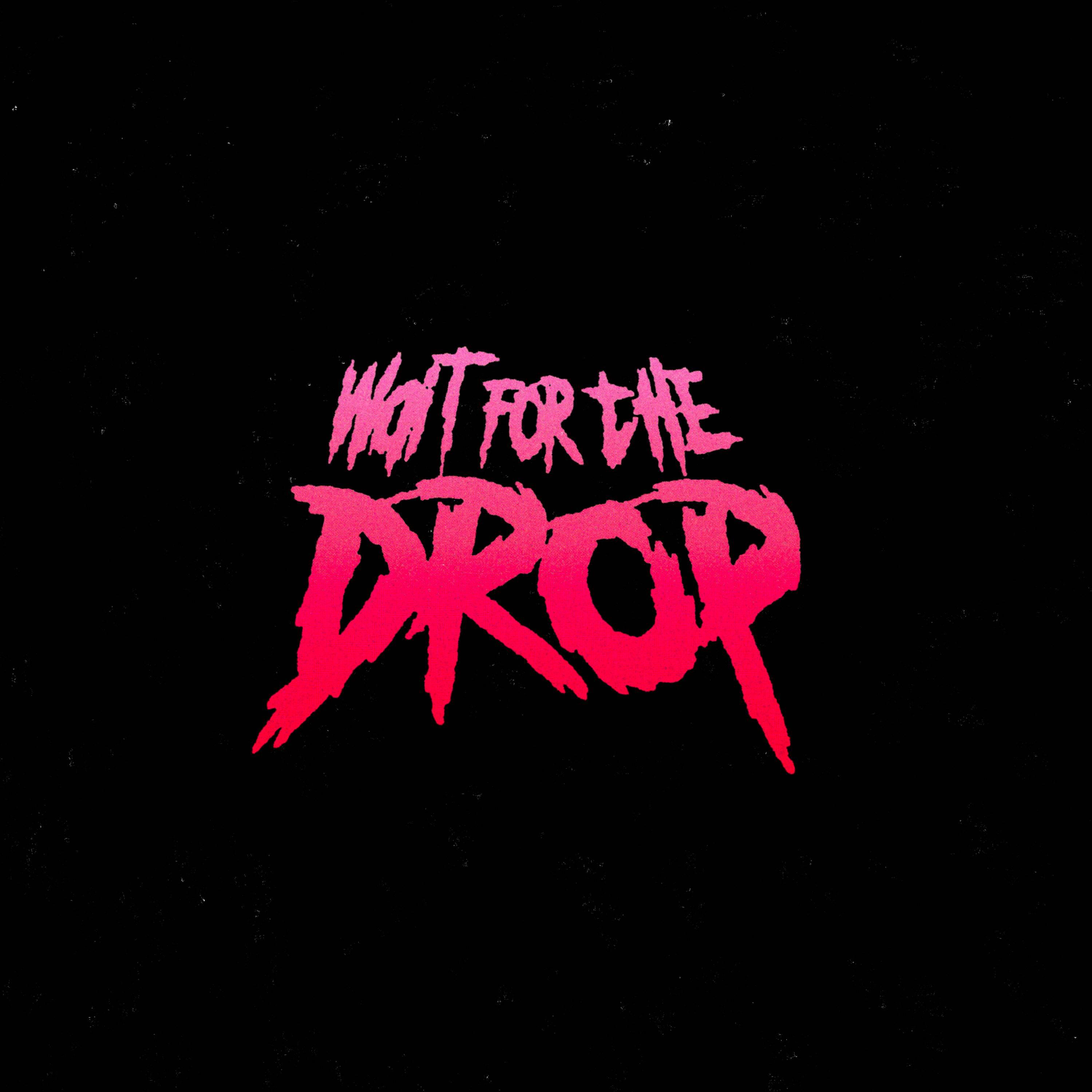 Постер альбома Wait for the drop