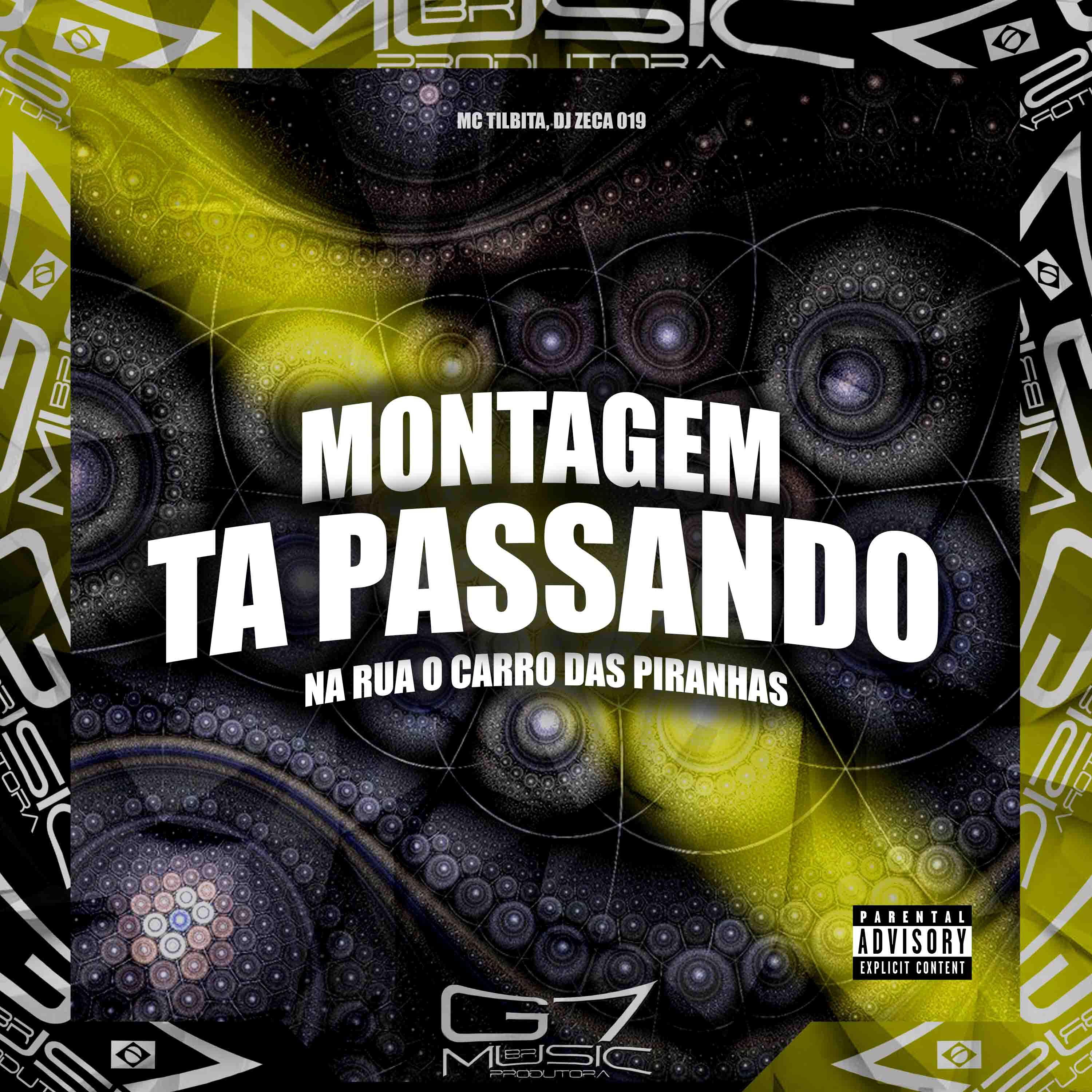 Постер альбома Montagem - Ta Passando na Rua o Carro das Piranhas