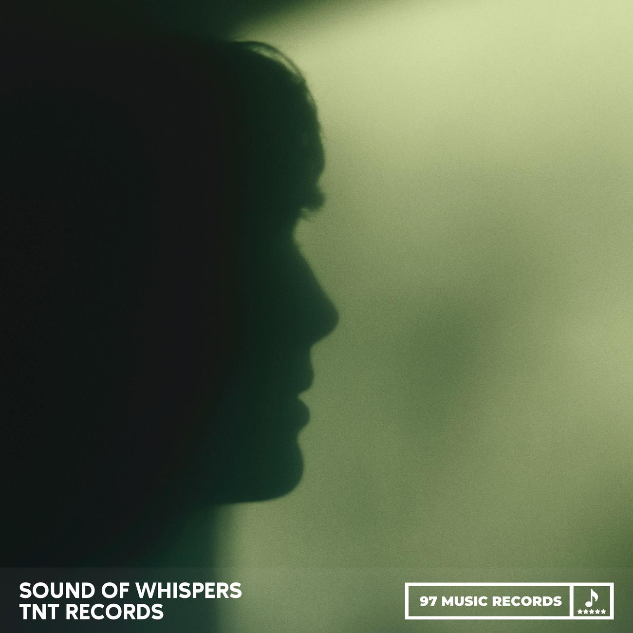 Постер альбома Sound Of Whispers