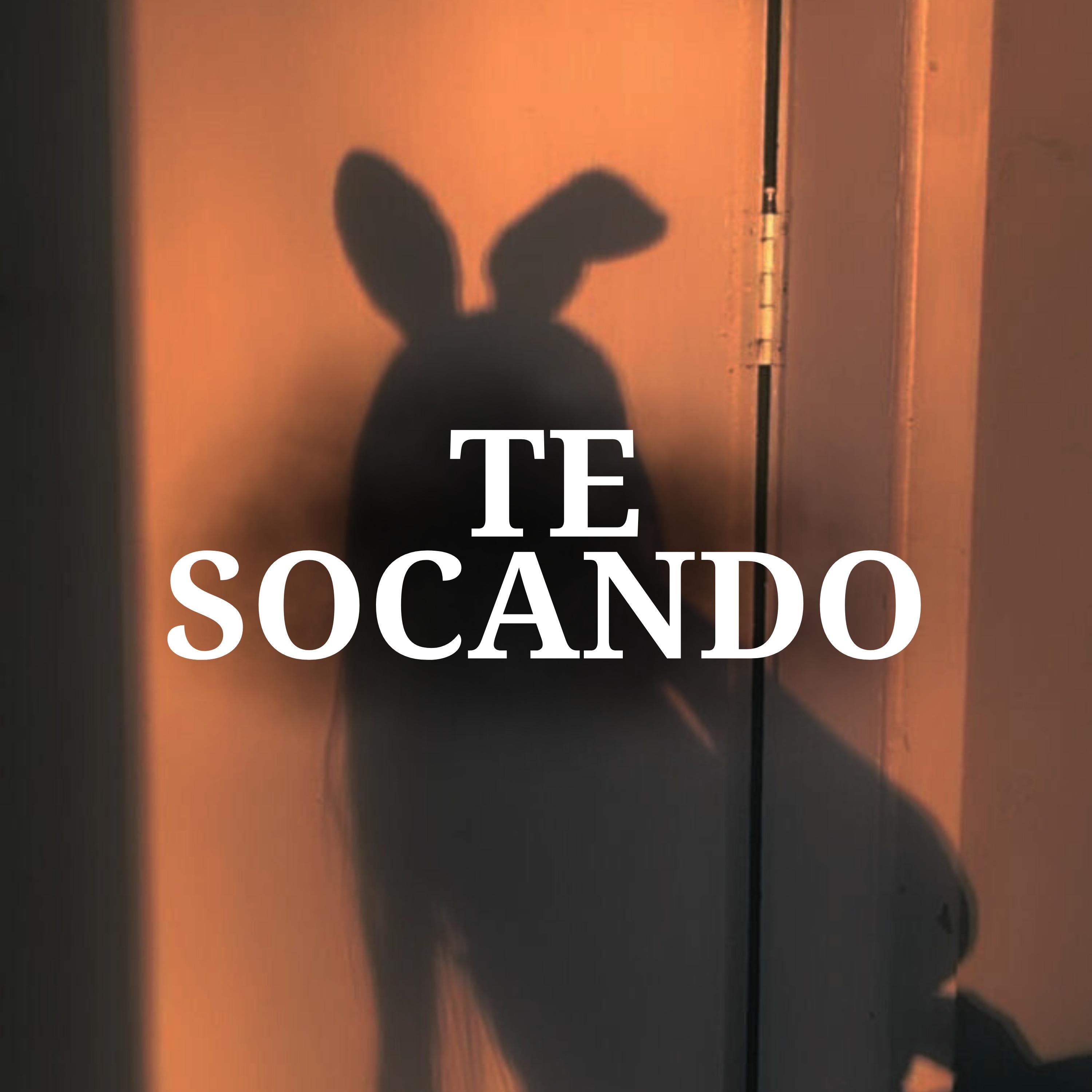 Постер альбома Te Socando