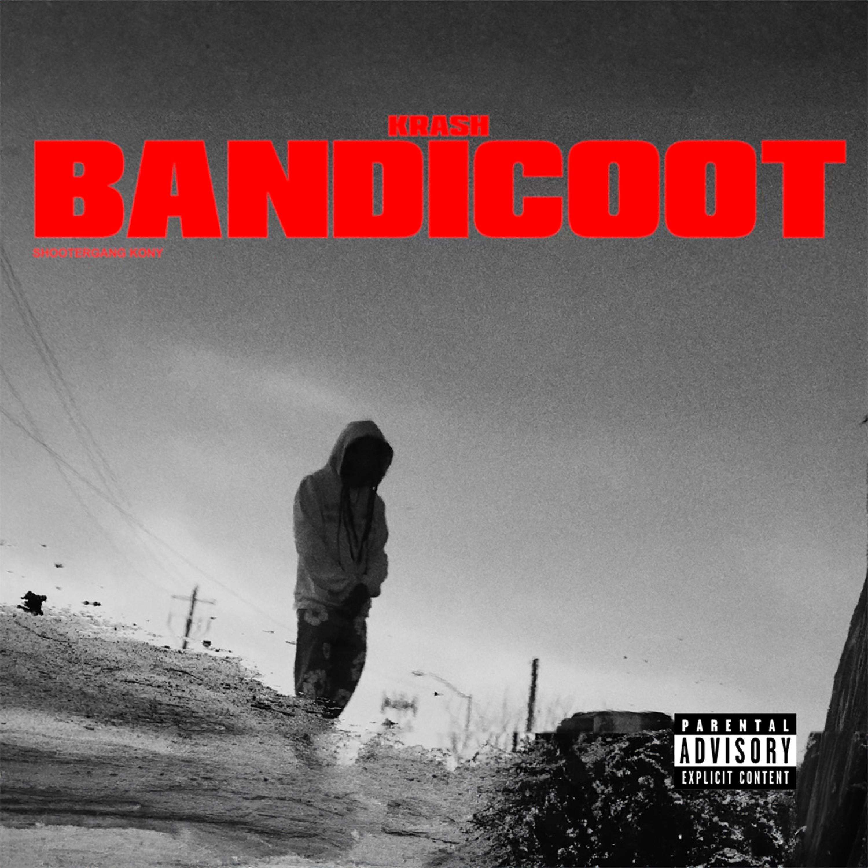 Постер альбома Krash Bandicoot