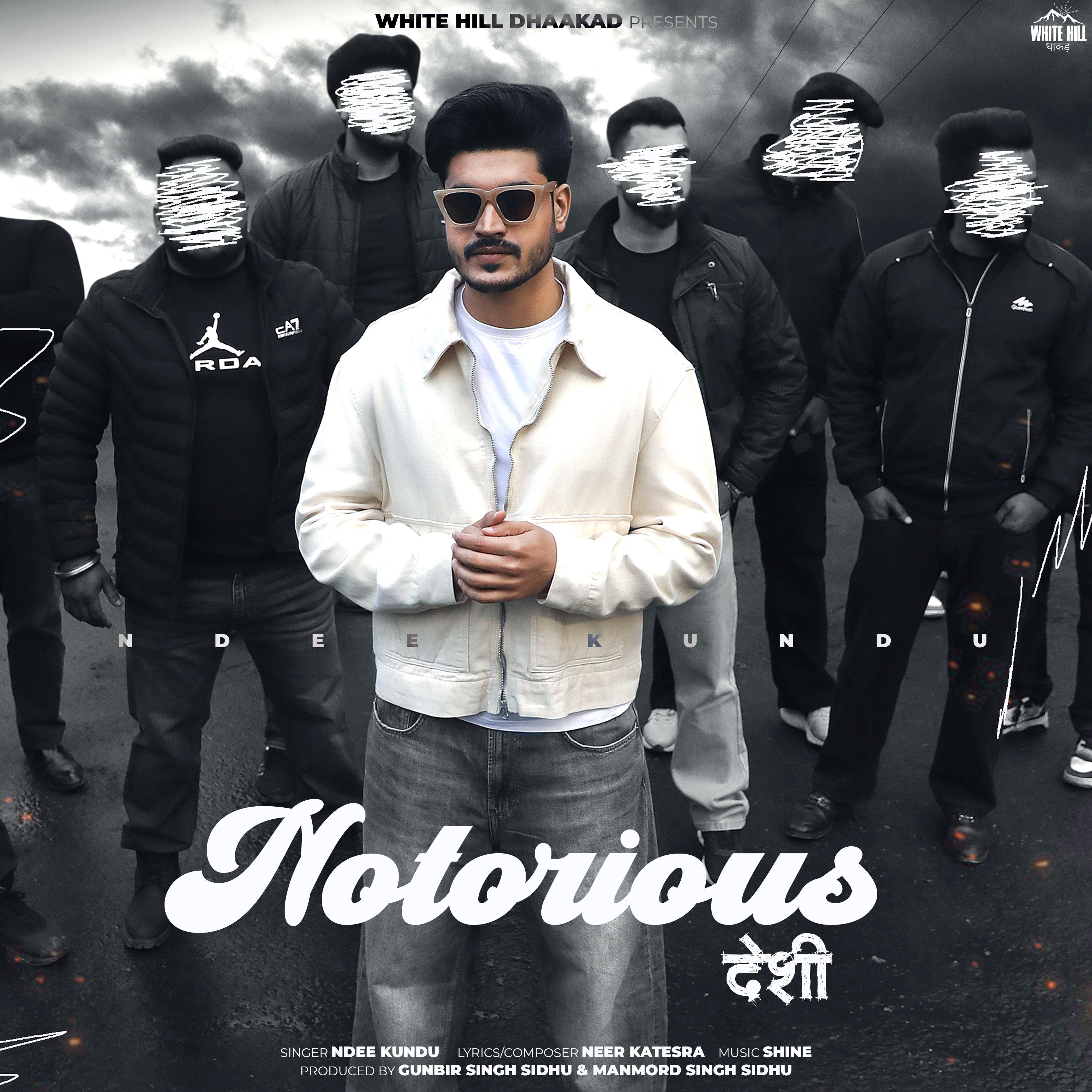 Постер альбома Notorious Desi